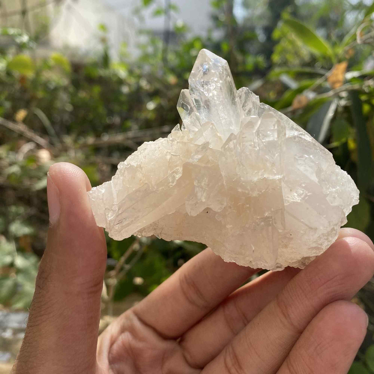 100g Himalayan White Quartz Raw Cluster Natural Collector Mineral
