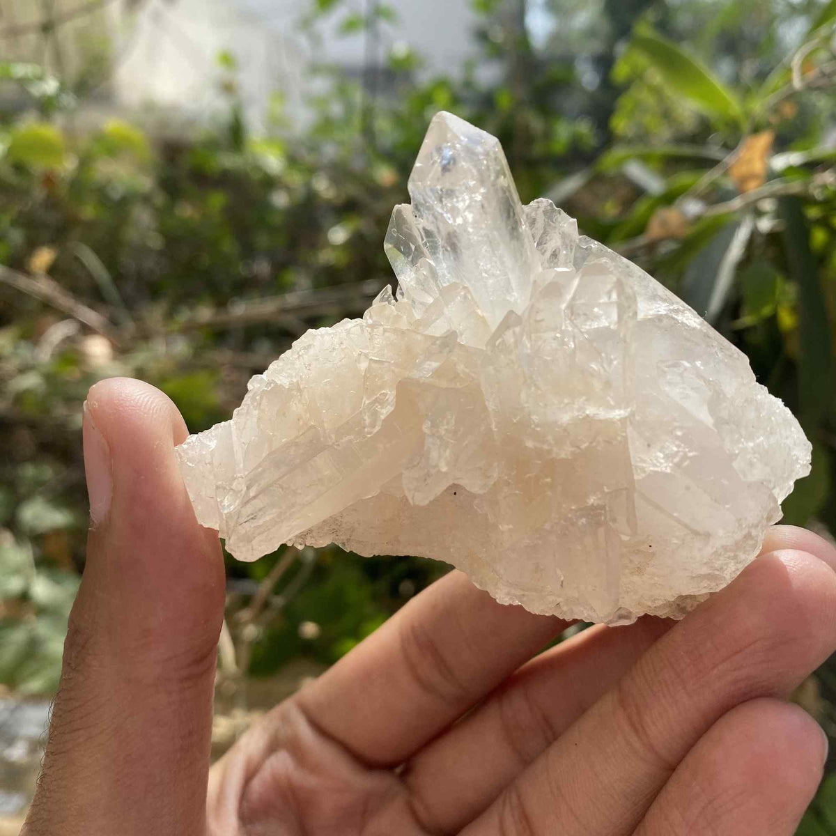 100g Himalayan White Quartz Raw Cluster Natural Collector Mineral
