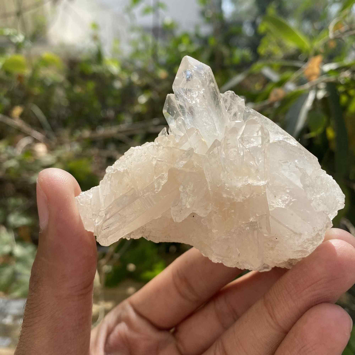 100g Himalayan White Quartz Raw Cluster Natural Collector Mineral