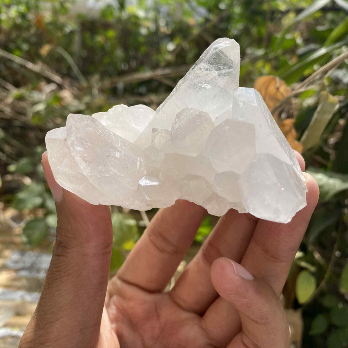 120g Natural White Quartz Himalayan Cluster Collector Display Mineral