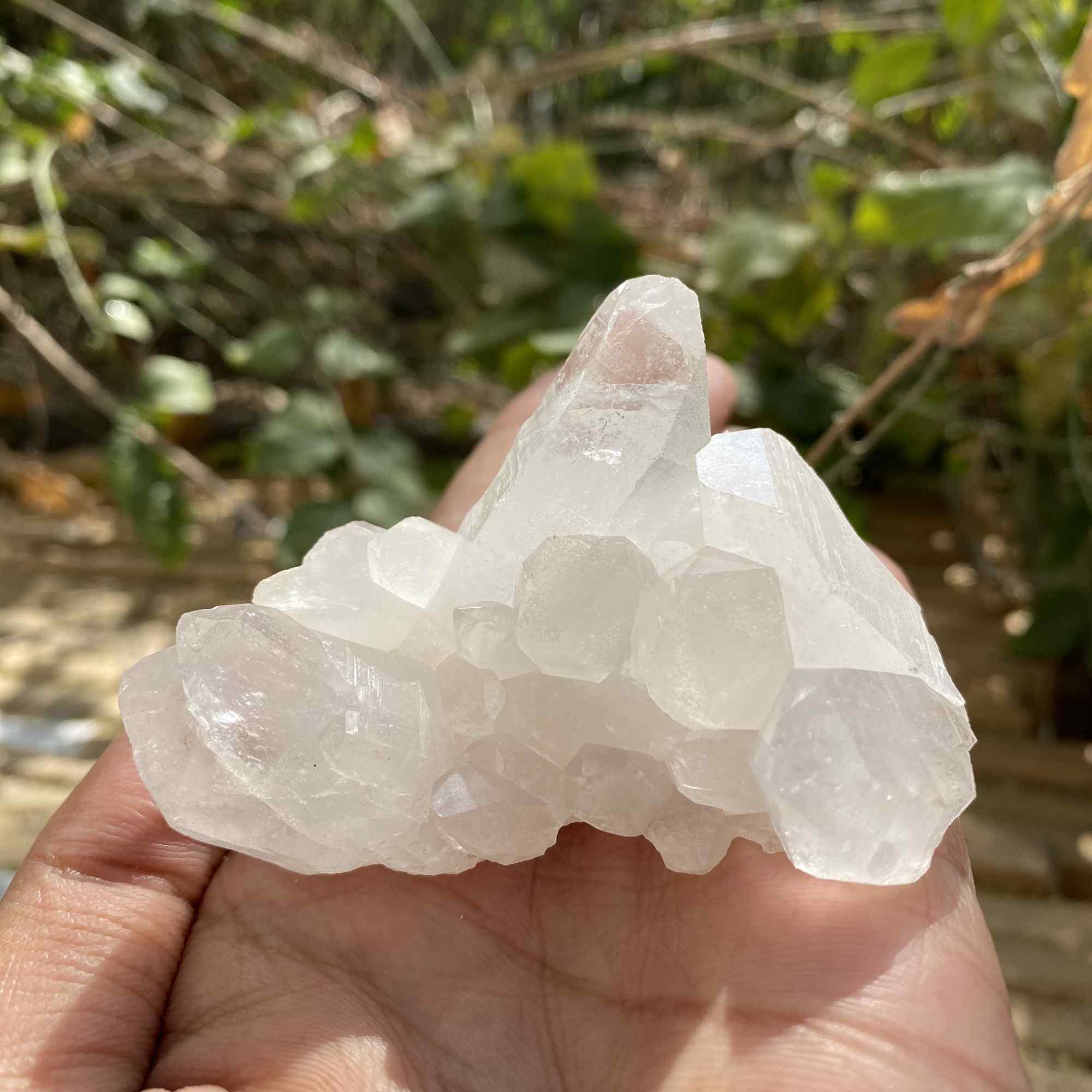 120g Natural White Quartz Himalayan Cluster Collector Display Mineral