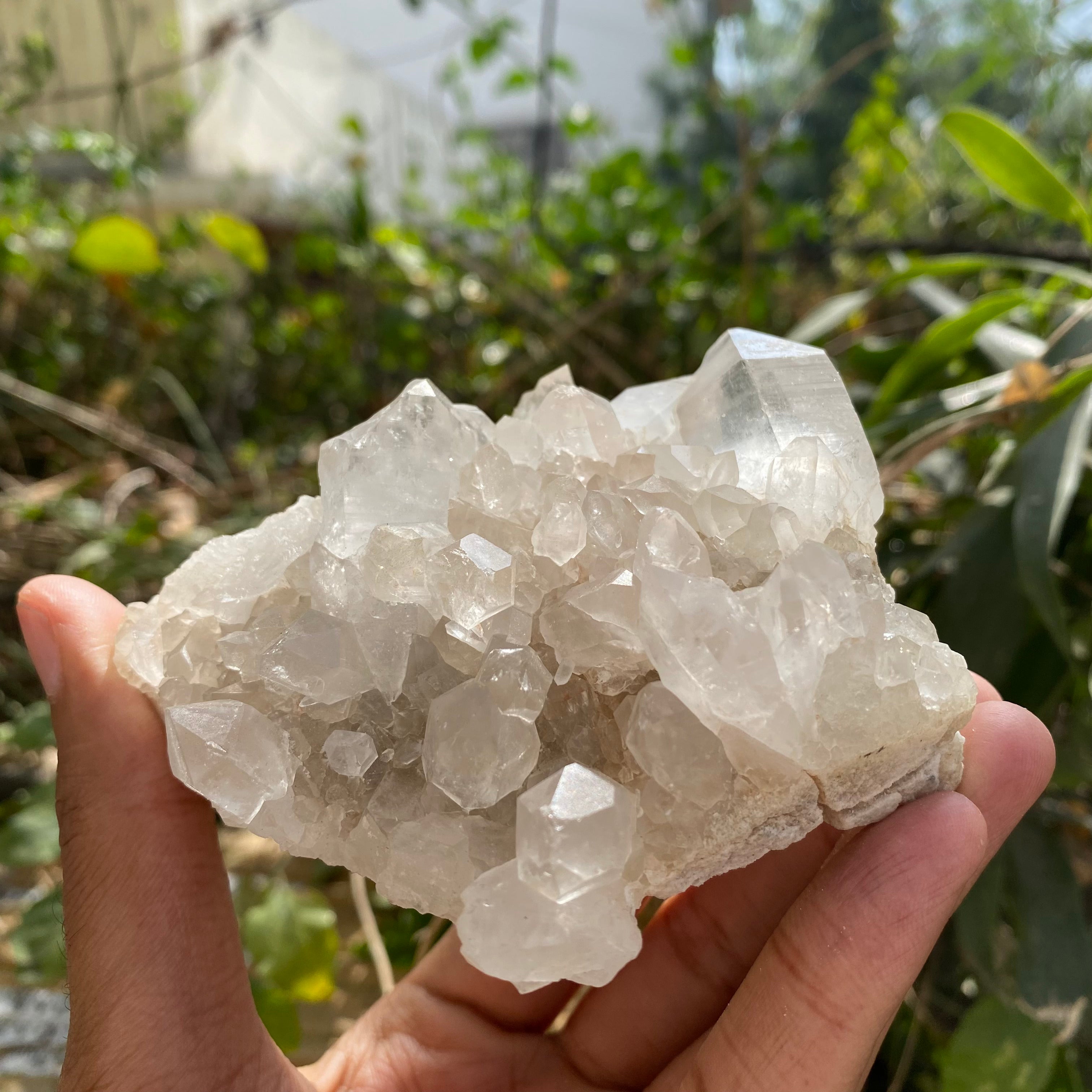 White Himalayan Quartz Crystal Cluster Raw Healing Display Natural Stone