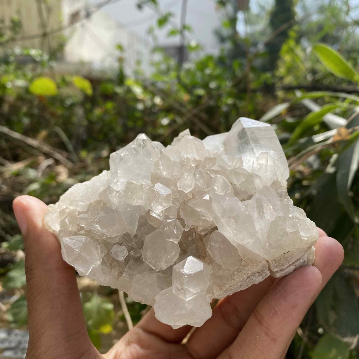 White Quartz Natural Himalayan Raw Cluster Display Collector Specimen