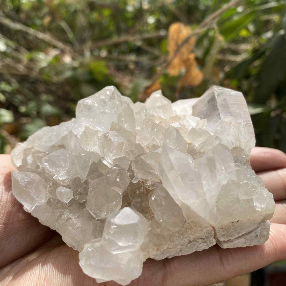 White Quartz Natural Himalayan Raw Cluster Display Collector Specimen