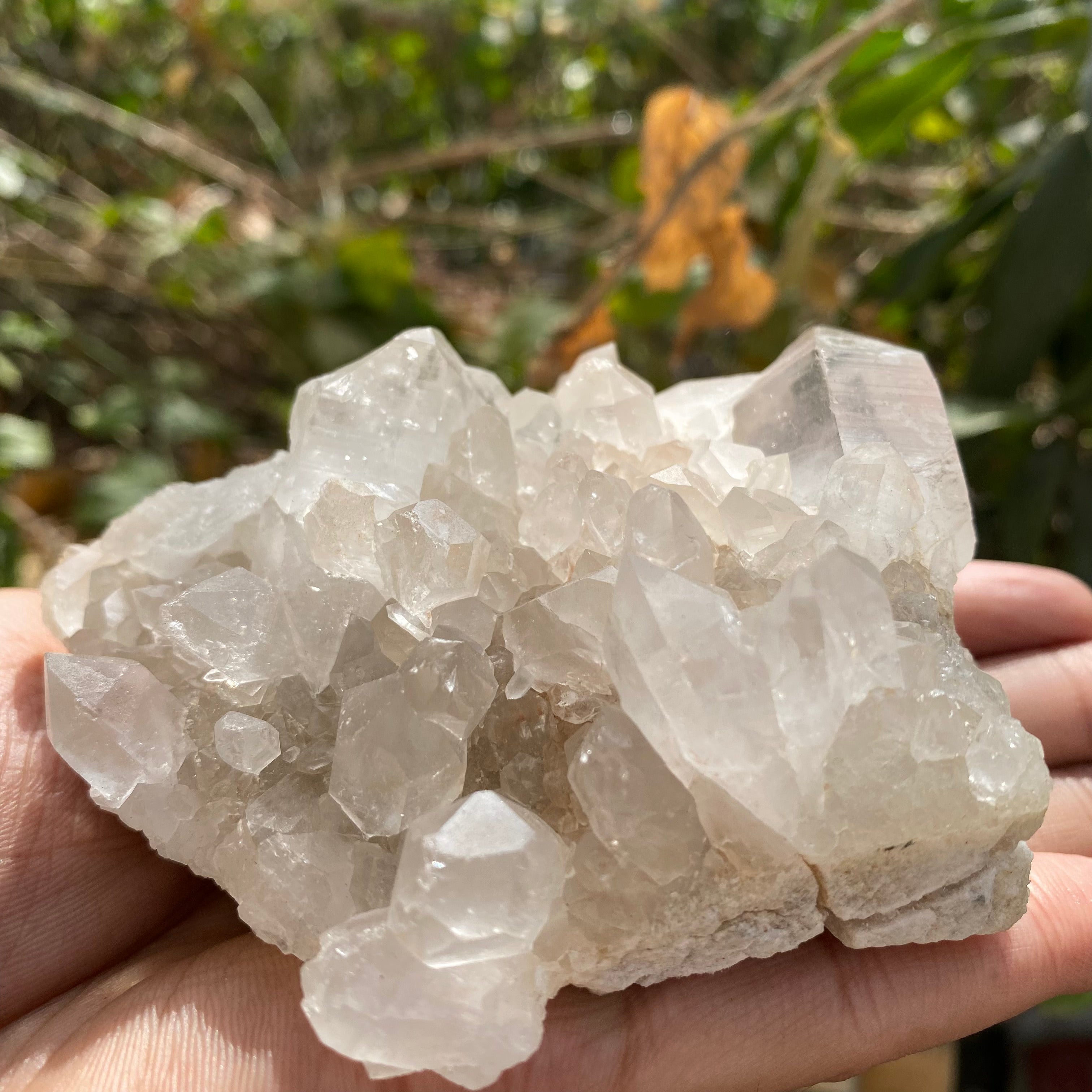 White Himalayan Quartz Crystal Cluster Raw Healing Display Natural Stone