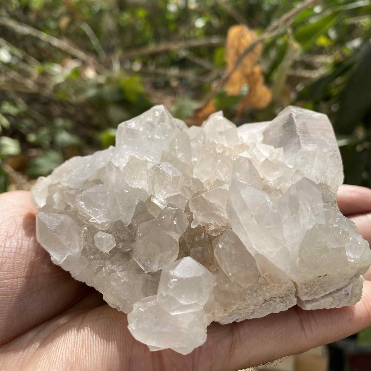 White Quartz Natural Himalayan Raw Cluster Display Collector Specimen