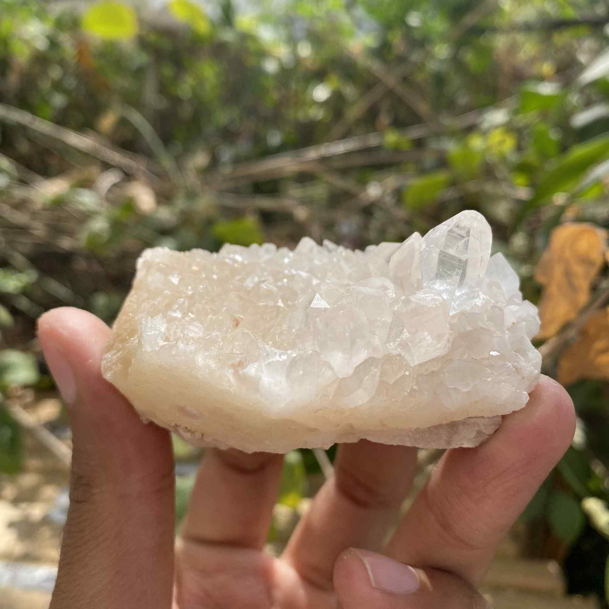 105g Himalayan Pink White Quartz Raw Natural Cluster Display Specimen