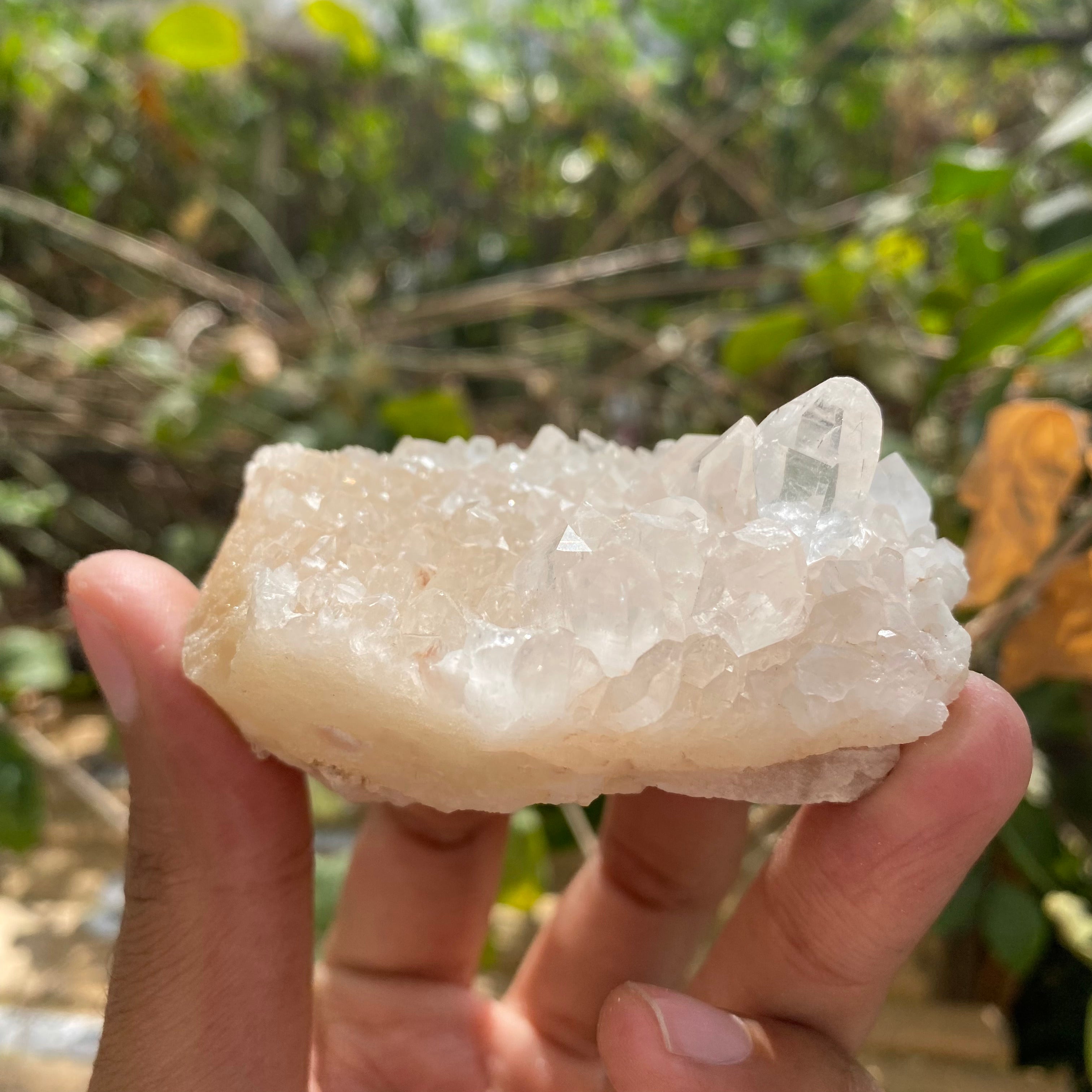 Pink Premium Himalayan Quartz Crystal Cluster Raw Healing Decor Collector Piece