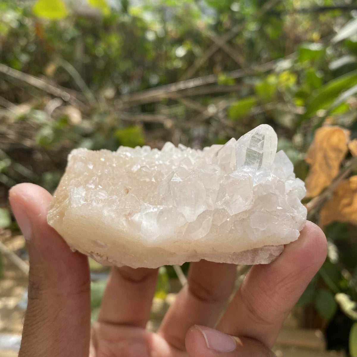 105g Himalayan Pink White Quartz Raw Natural Cluster Display Specimen