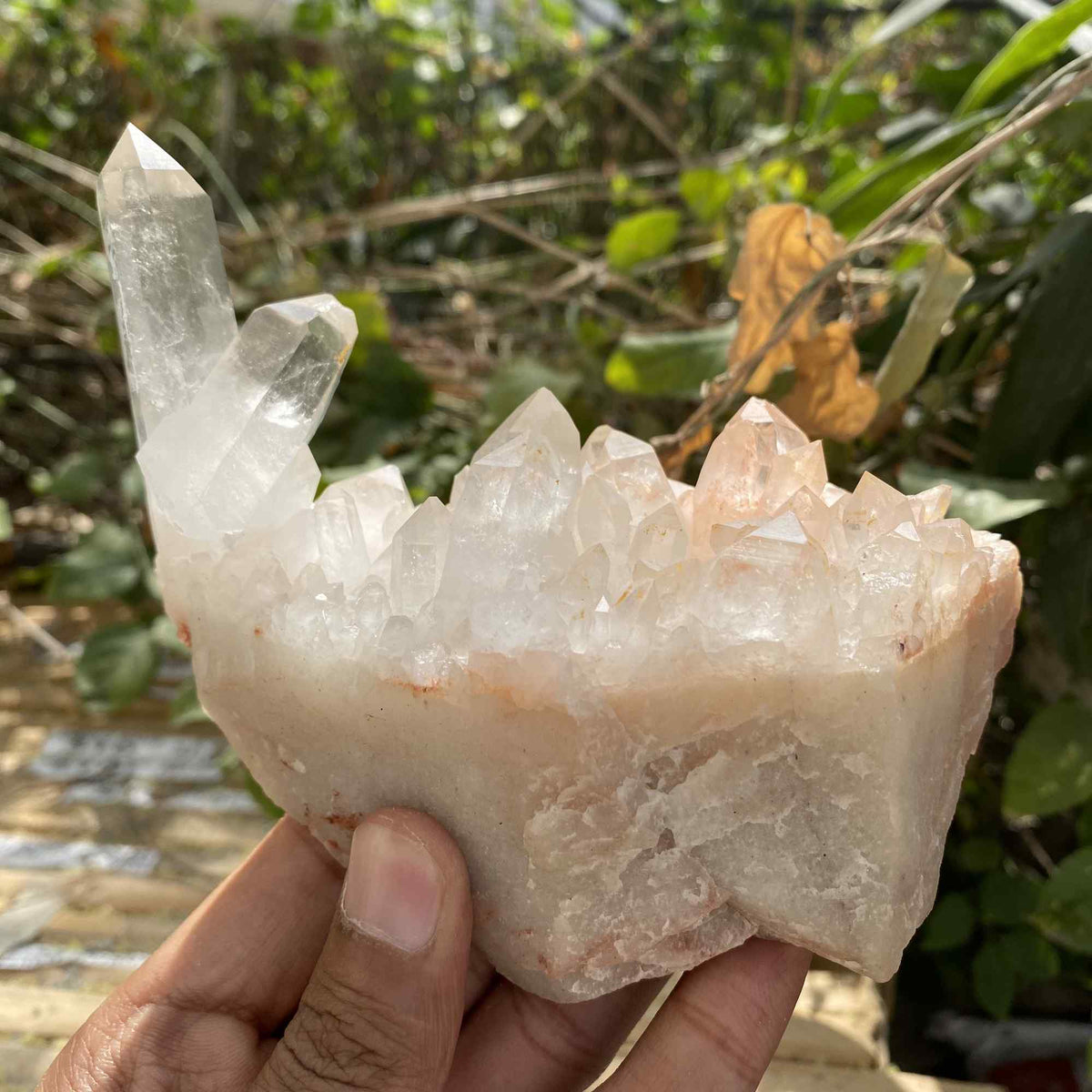 Pink Himalayan Quartz Natural Cluster 510g Raw Mineral Display Piece