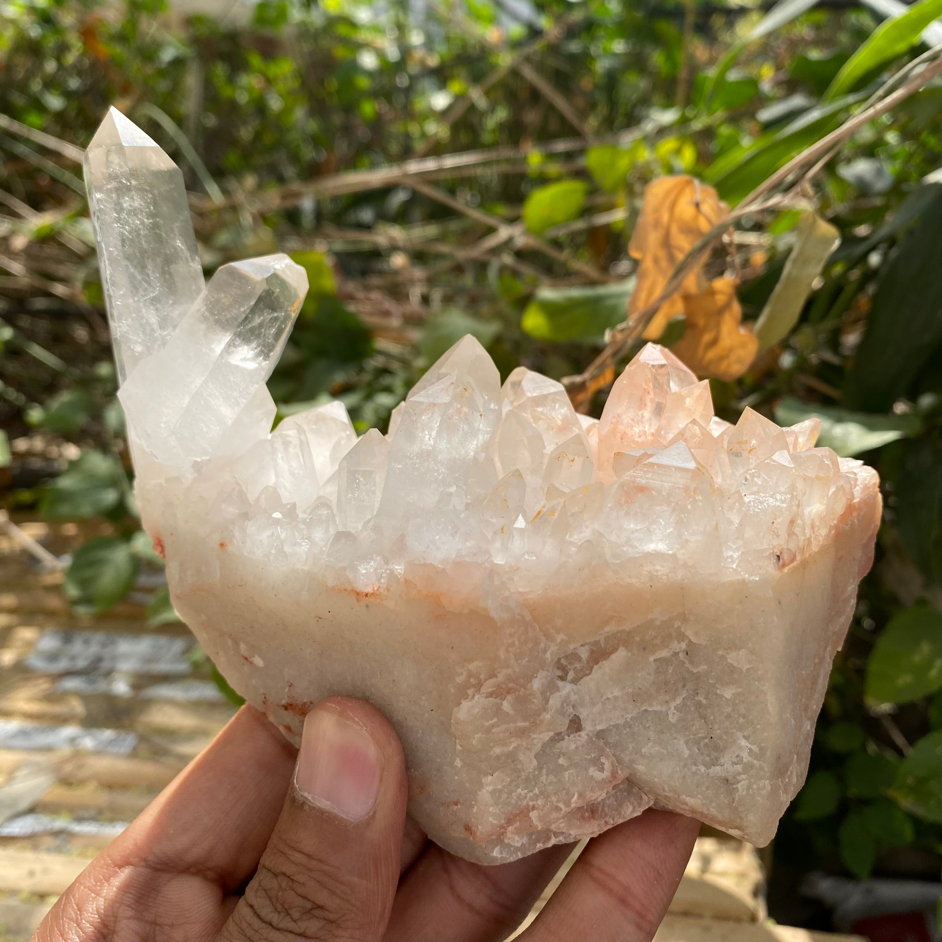 Natural Himalayan Pink Quartz Cluster 510g – Heart-Healing Crystal