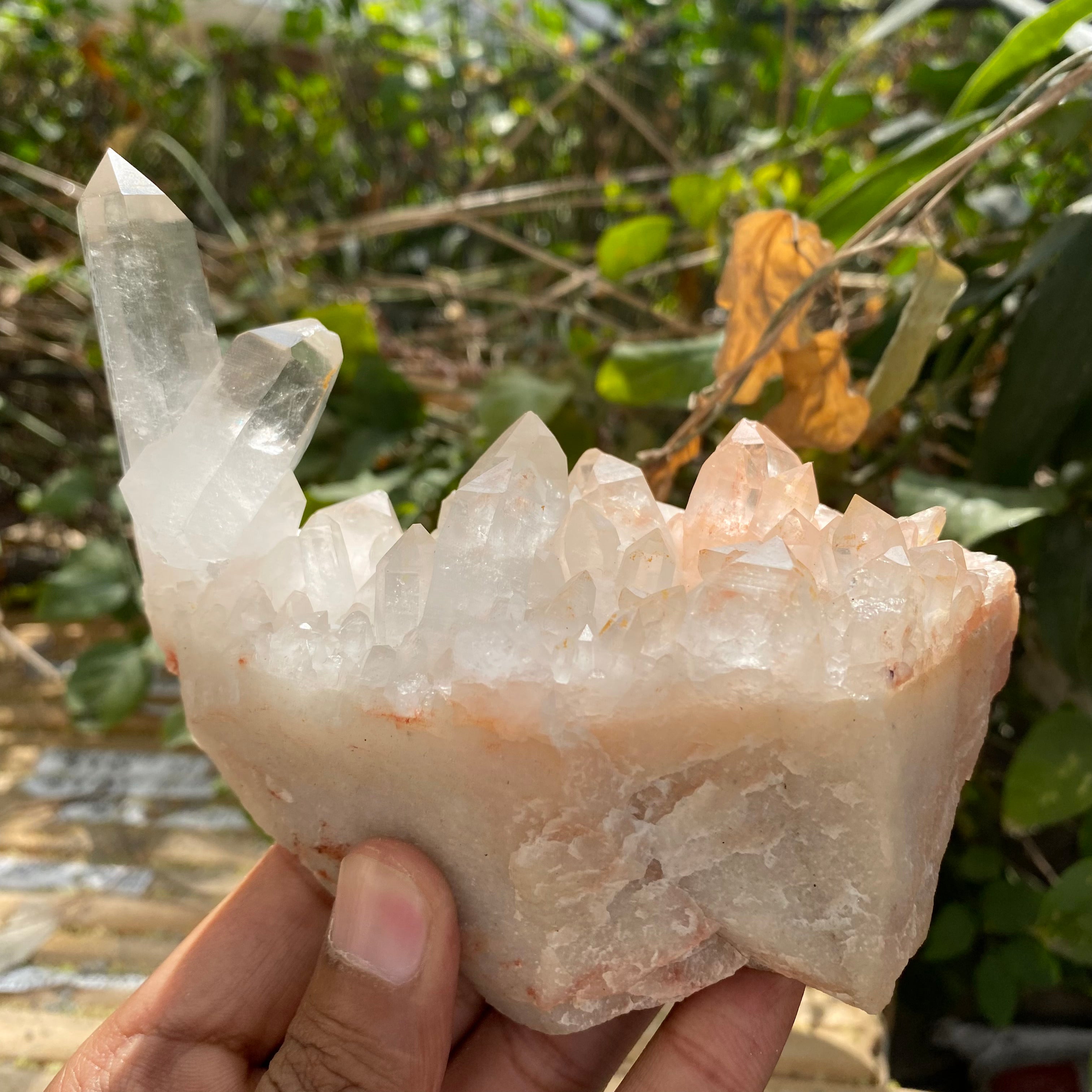 Natural Himalayan Pink Quartz Cluster 510g – Heart-Healing Crystal