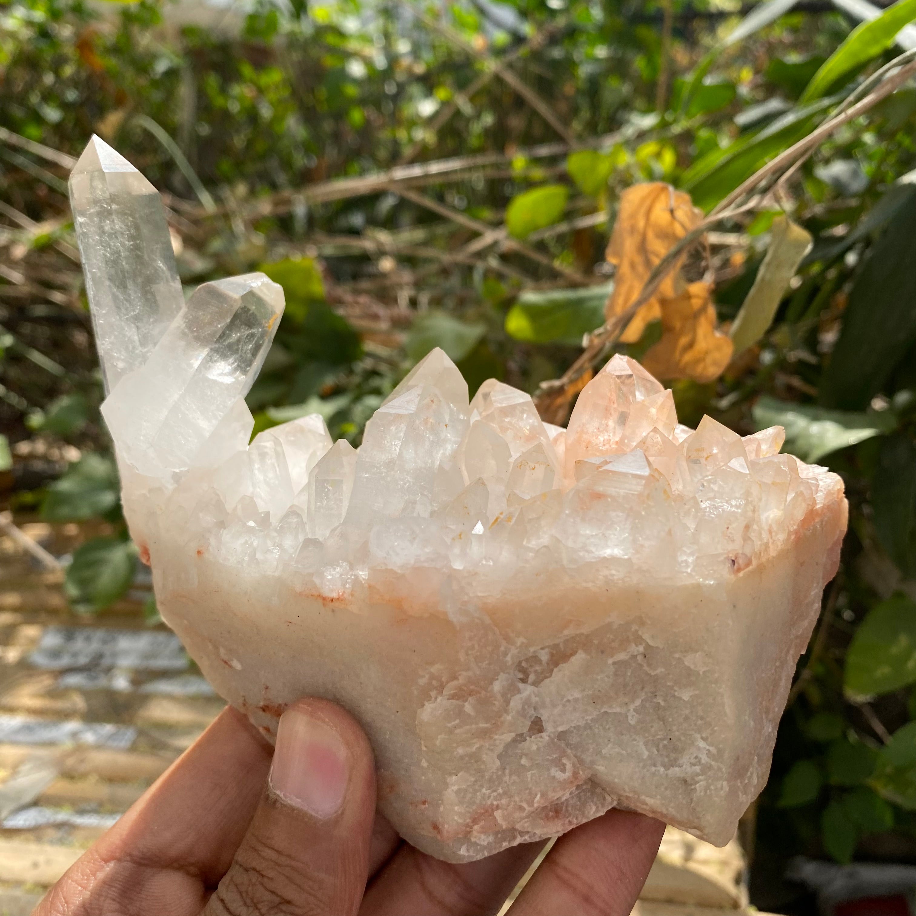 Natural Himalayan Pink Quartz Cluster 510g – Heart-Healing Crystal