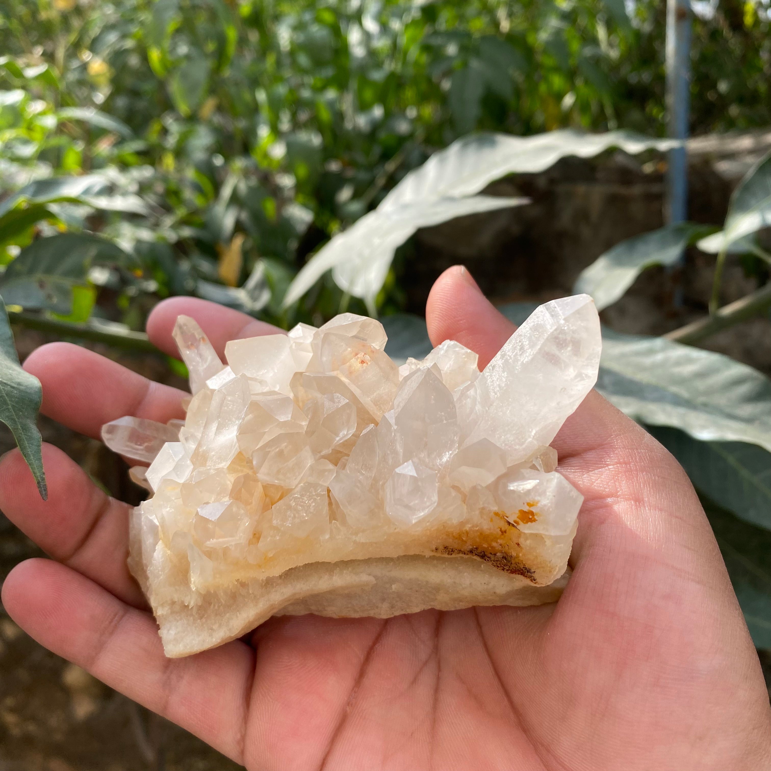 Natural Himalayan Yellow Quartz Crystal Cluster Raw Samadhi Healing Collector Stone
