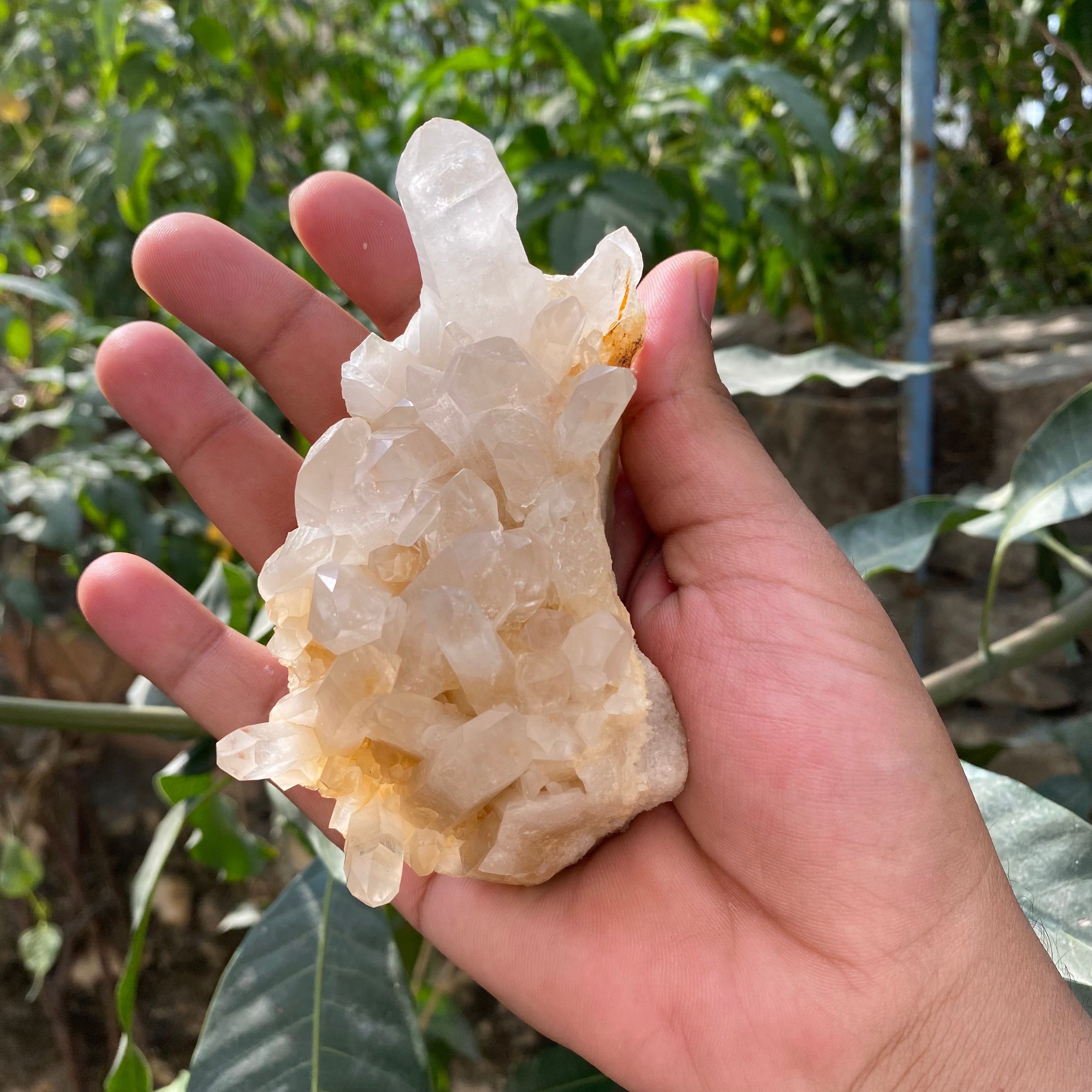 Natural Himalayan Yellow Quartz Crystal Cluster Raw Samadhi Healing Collector Stone