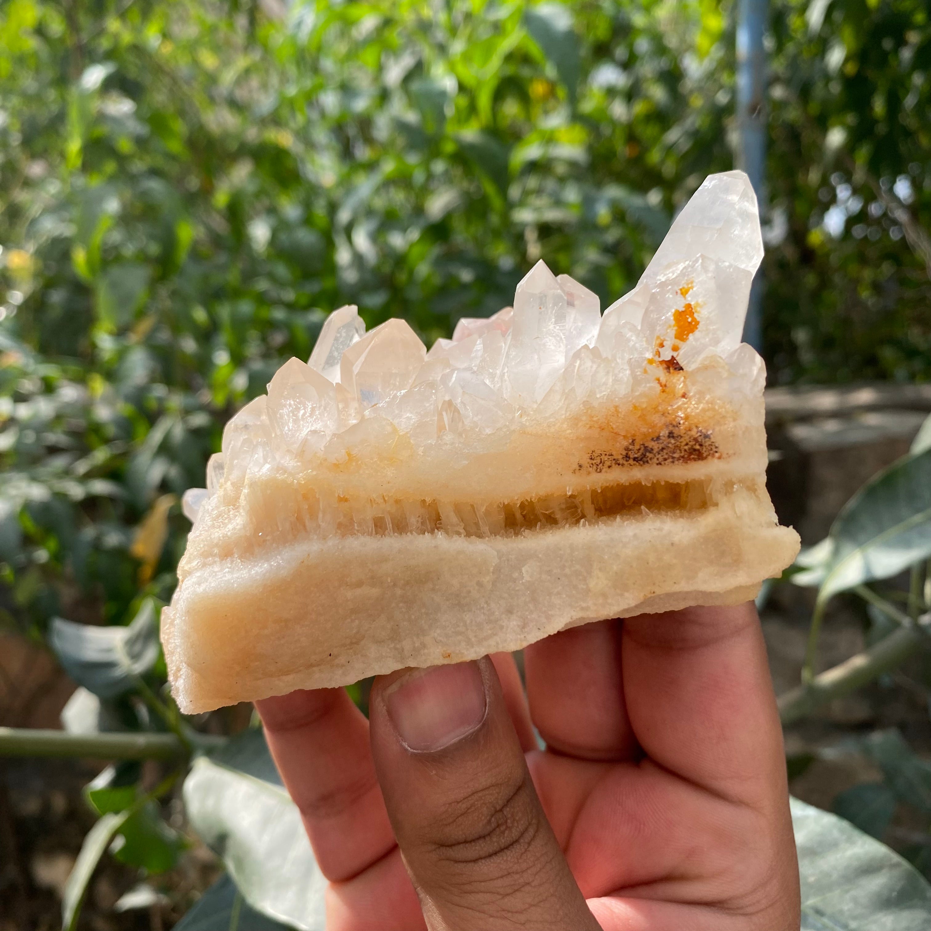 Natural Himalayan Yellow Quartz Crystal Cluster Raw Samadhi Healing Collector Stone