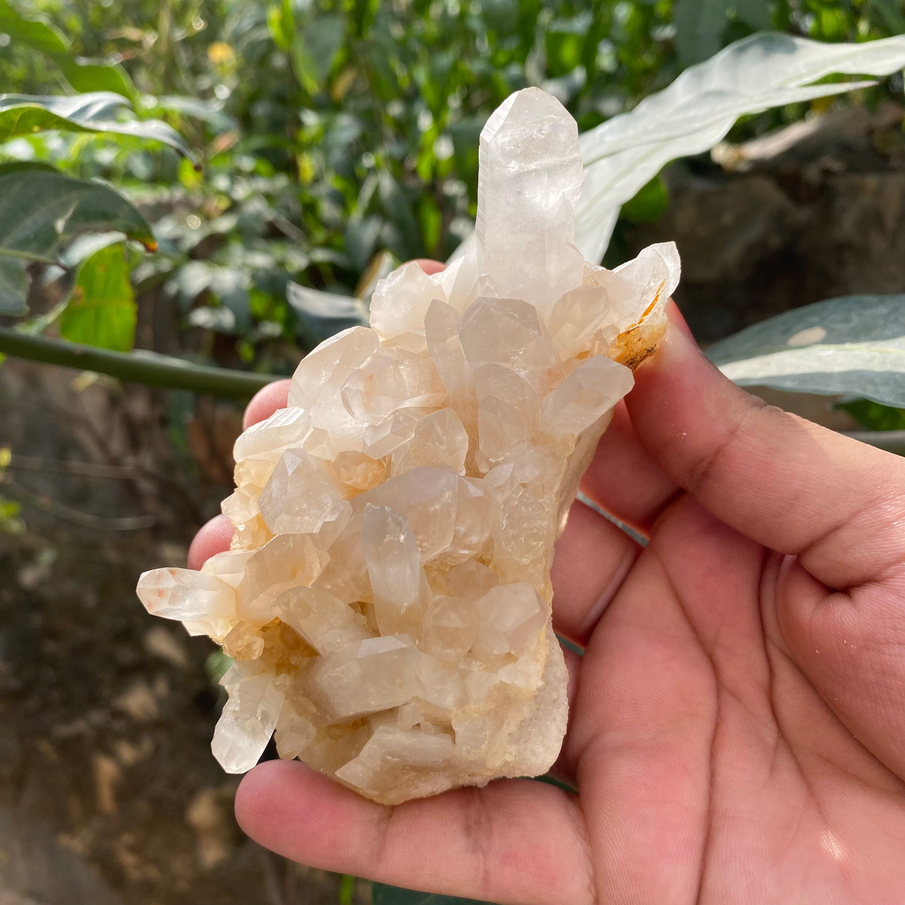 Natural Himalayan Yellow Quartz Crystal Cluster Raw Samadhi Healing Collector Stone