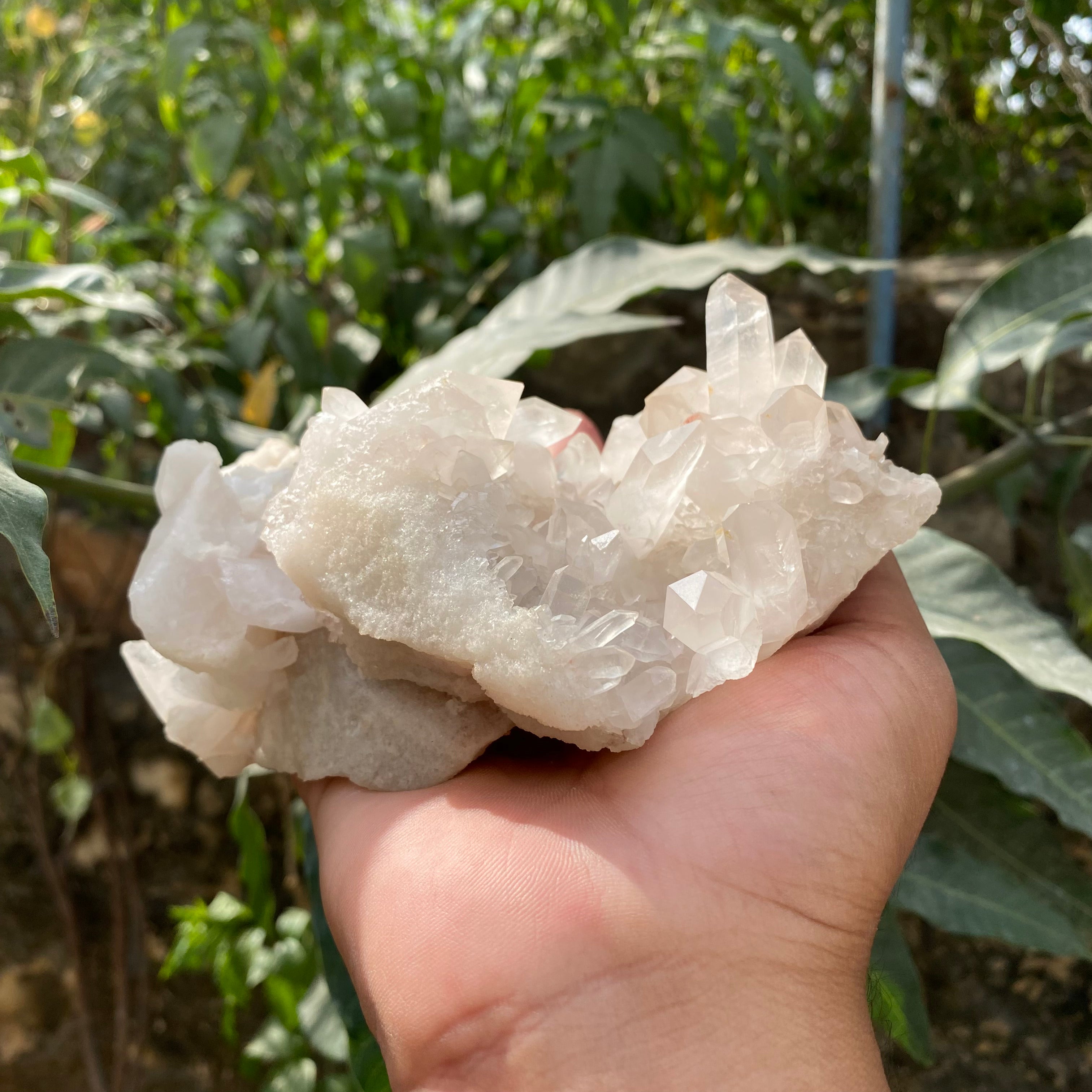 Natural Himalayan White Quartz Cluster 770g – Healing Crystal