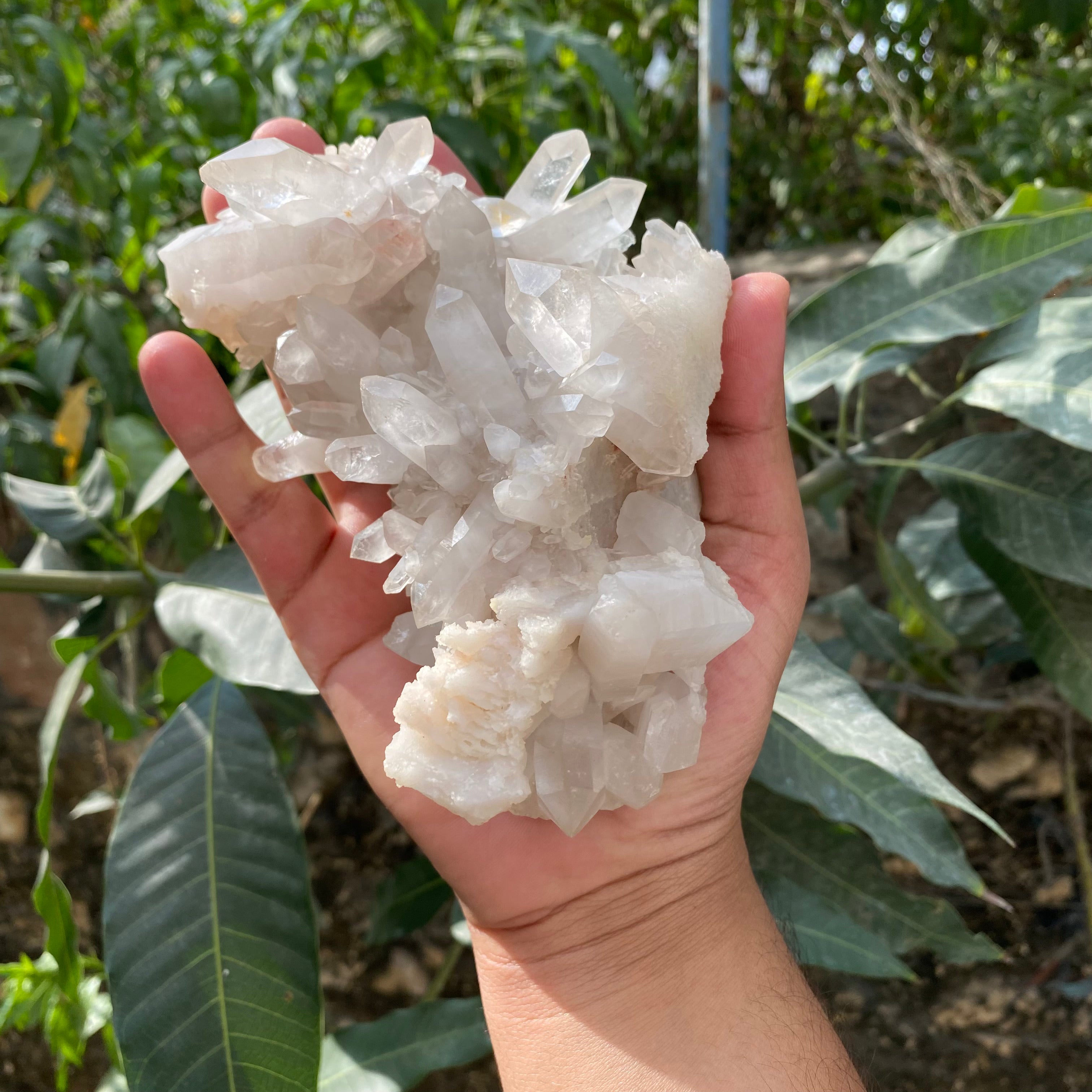 Natural Himalayan White Quartz Cluster 770g – Healing Crystal