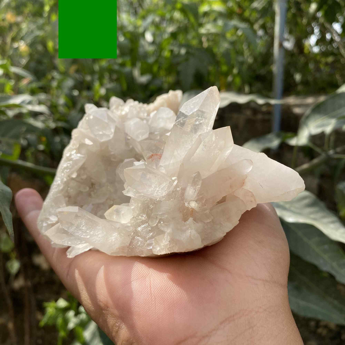 Natural Himalayan White Quartz Cluster 770g Display Mineral Piece
