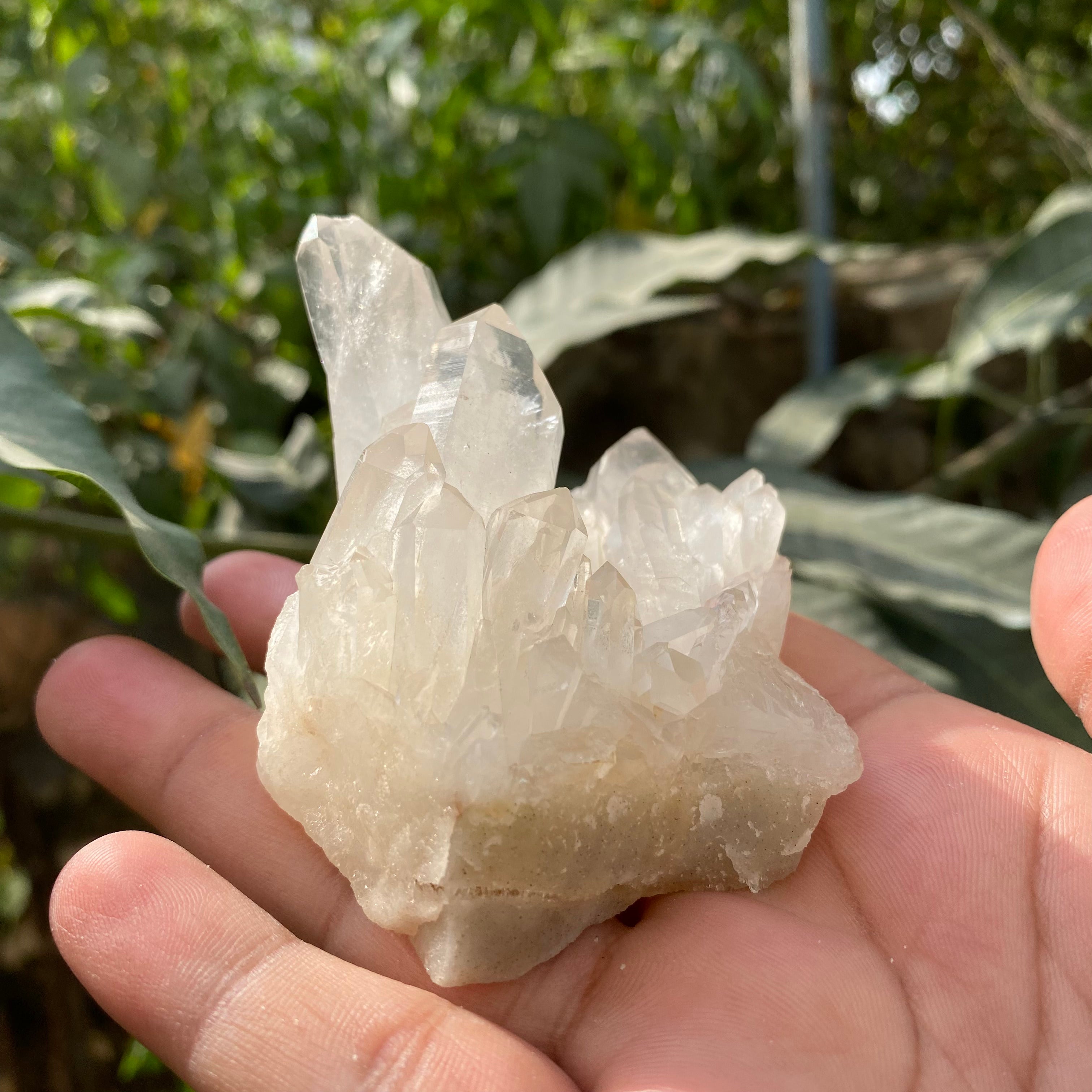 White Natural Himalayan Samadhi Quartz Cluster Raw Crystal Healing Display Collector