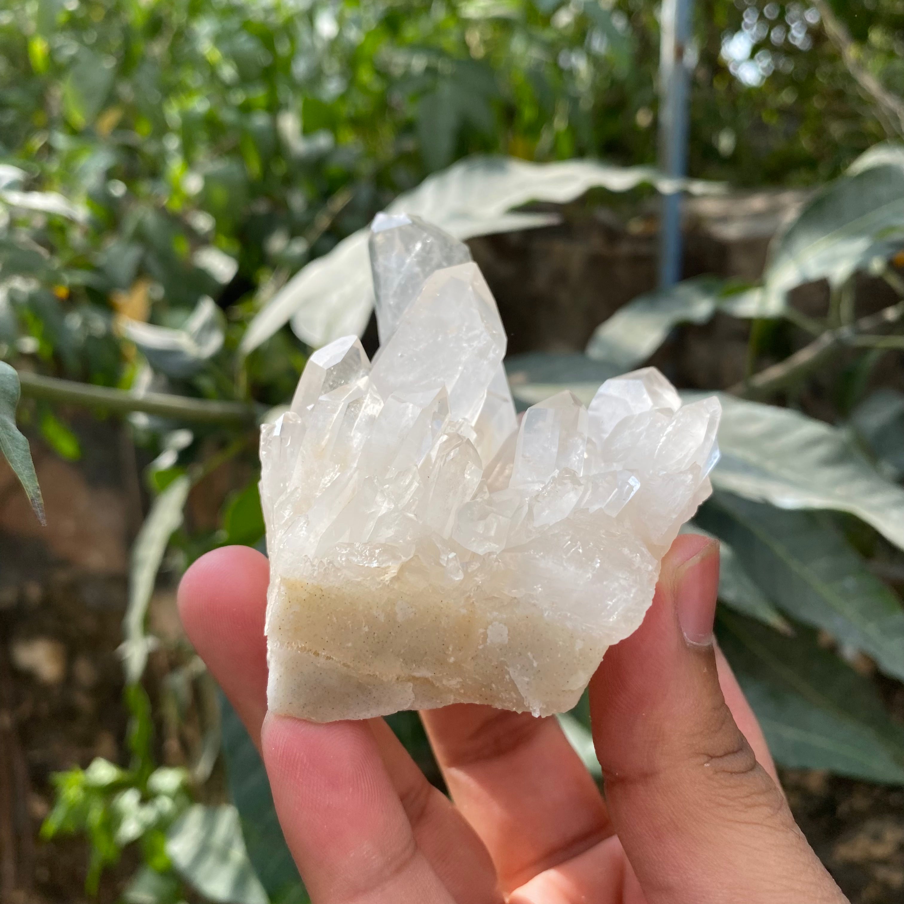 White Natural Himalayan Samadhi Quartz Cluster Raw Crystal Healing Display Collector