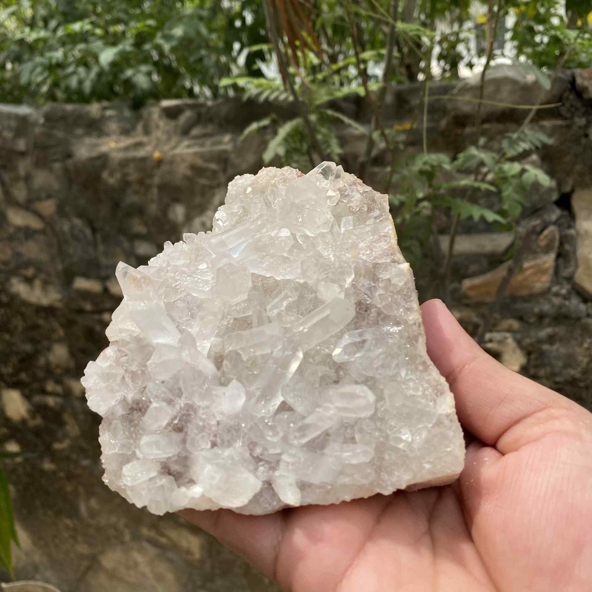 Display Natural Himalayan White Quartz Raw Cluster Collector Mineral