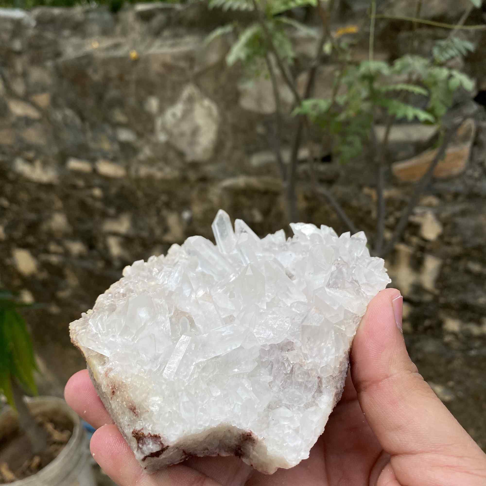 Display Natural Himalayan White Quartz Raw Cluster Collector Mineral