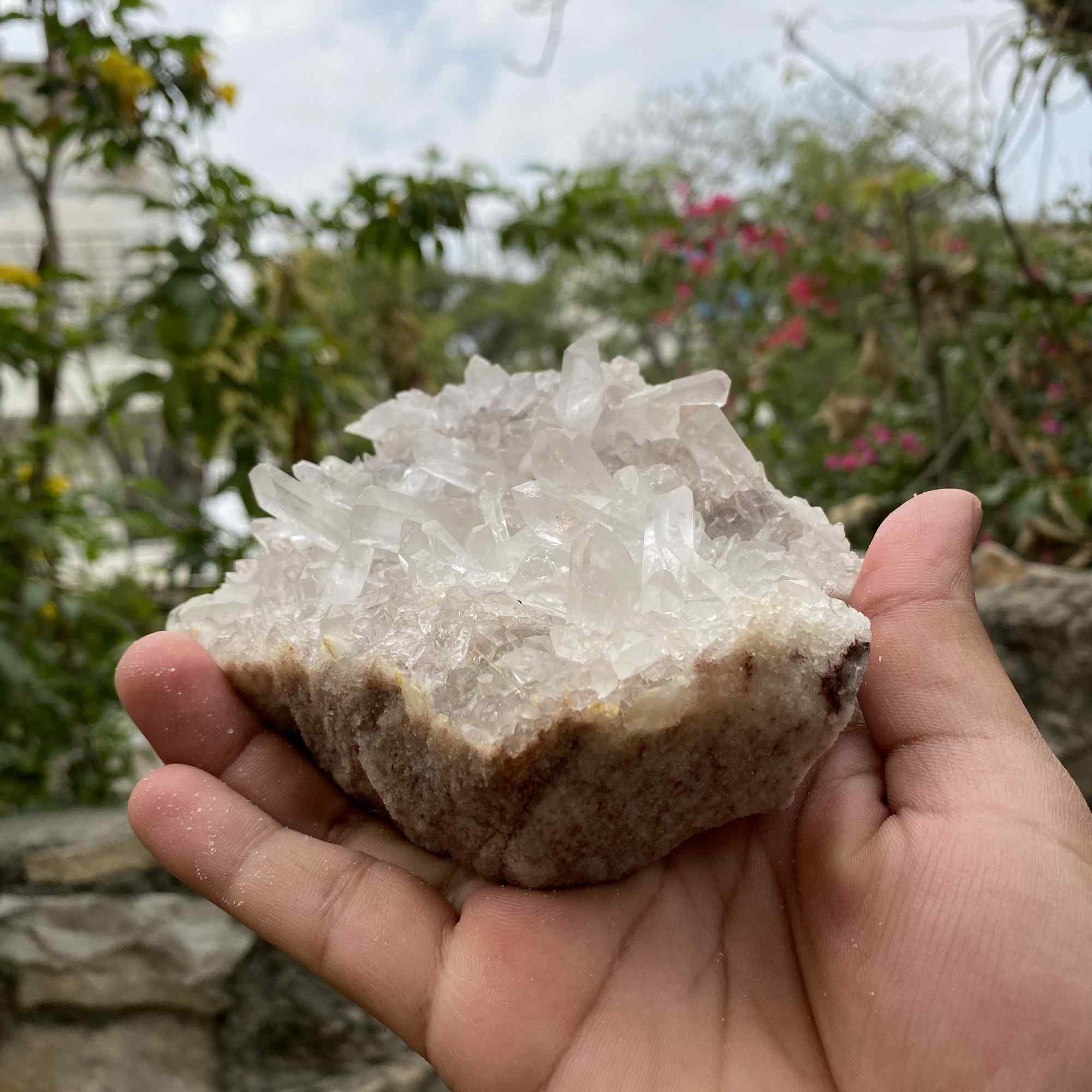 Display Natural Himalayan White Quartz Raw Cluster Collector Mineral