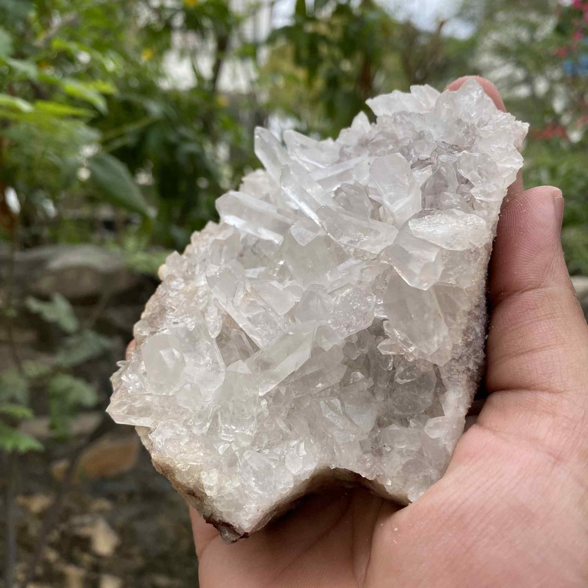 Display Natural Himalayan White Quartz Raw Cluster Collector Mineral
