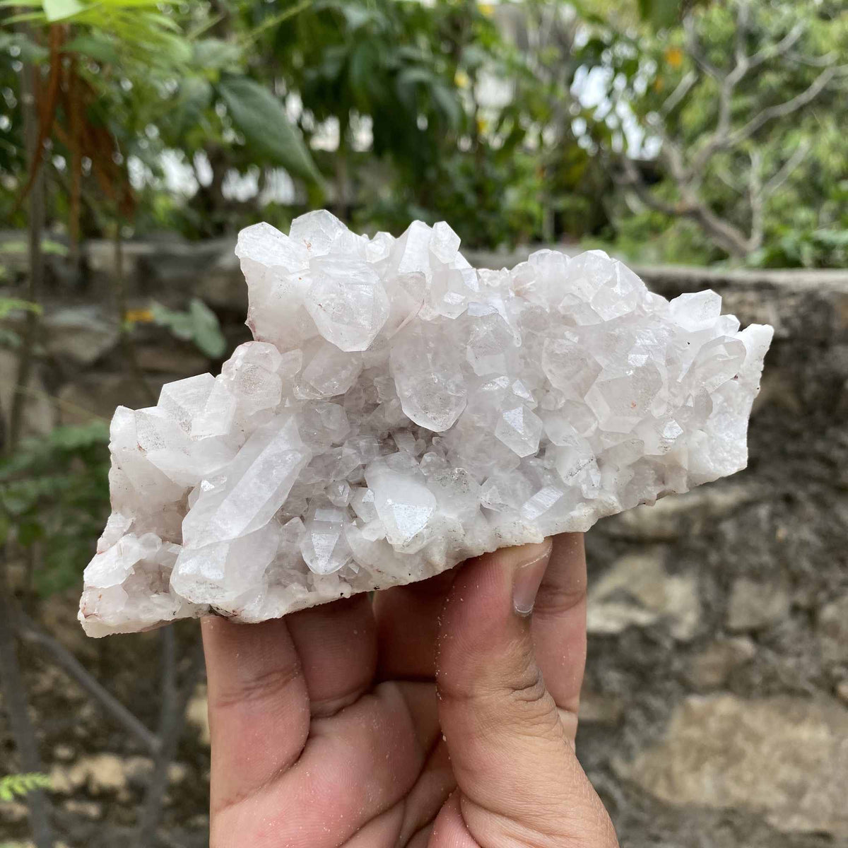 Natural White Himalayan Quartz Cluster Collector Mineral Raw Display