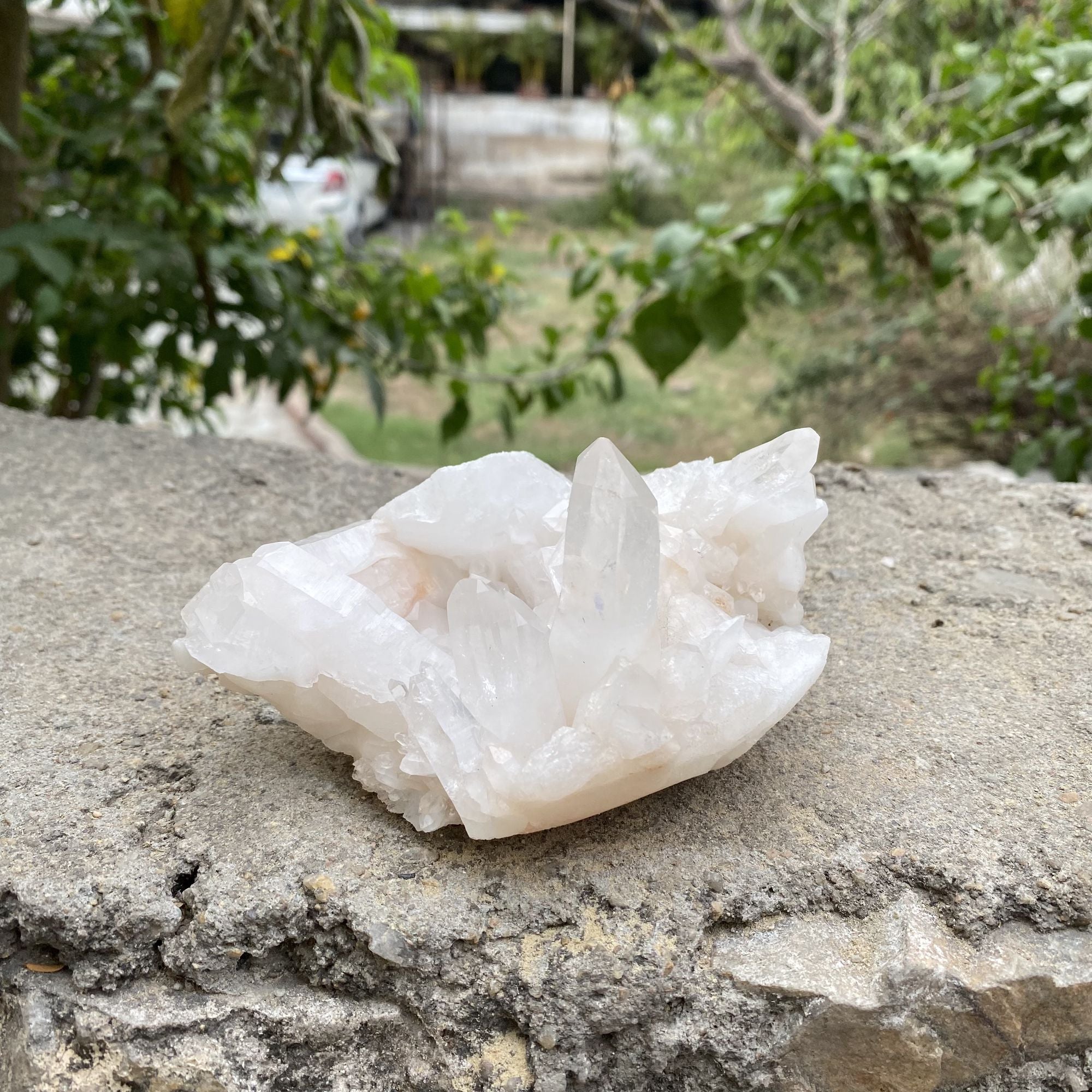 Himalayan White Quartz Raw Display Cluster Natural Collector Specimen