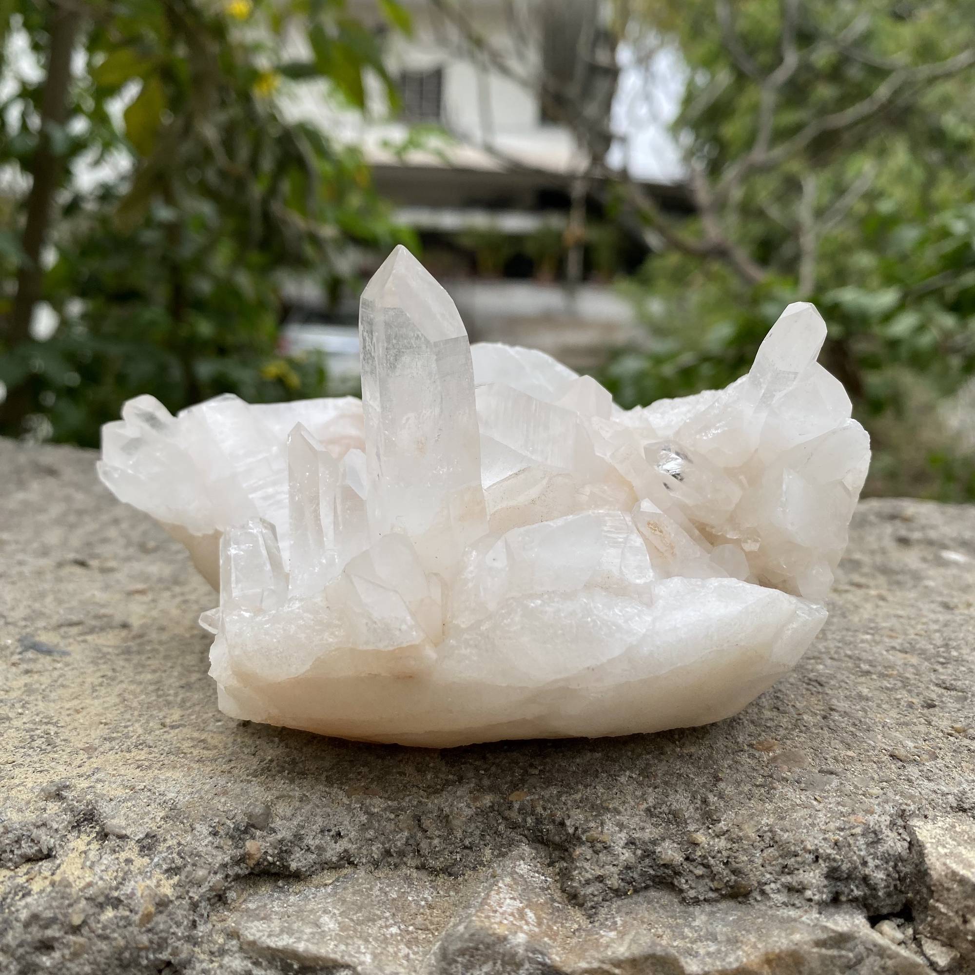 Himalayan White Quartz Raw Display Cluster Natural Collector Specimen
