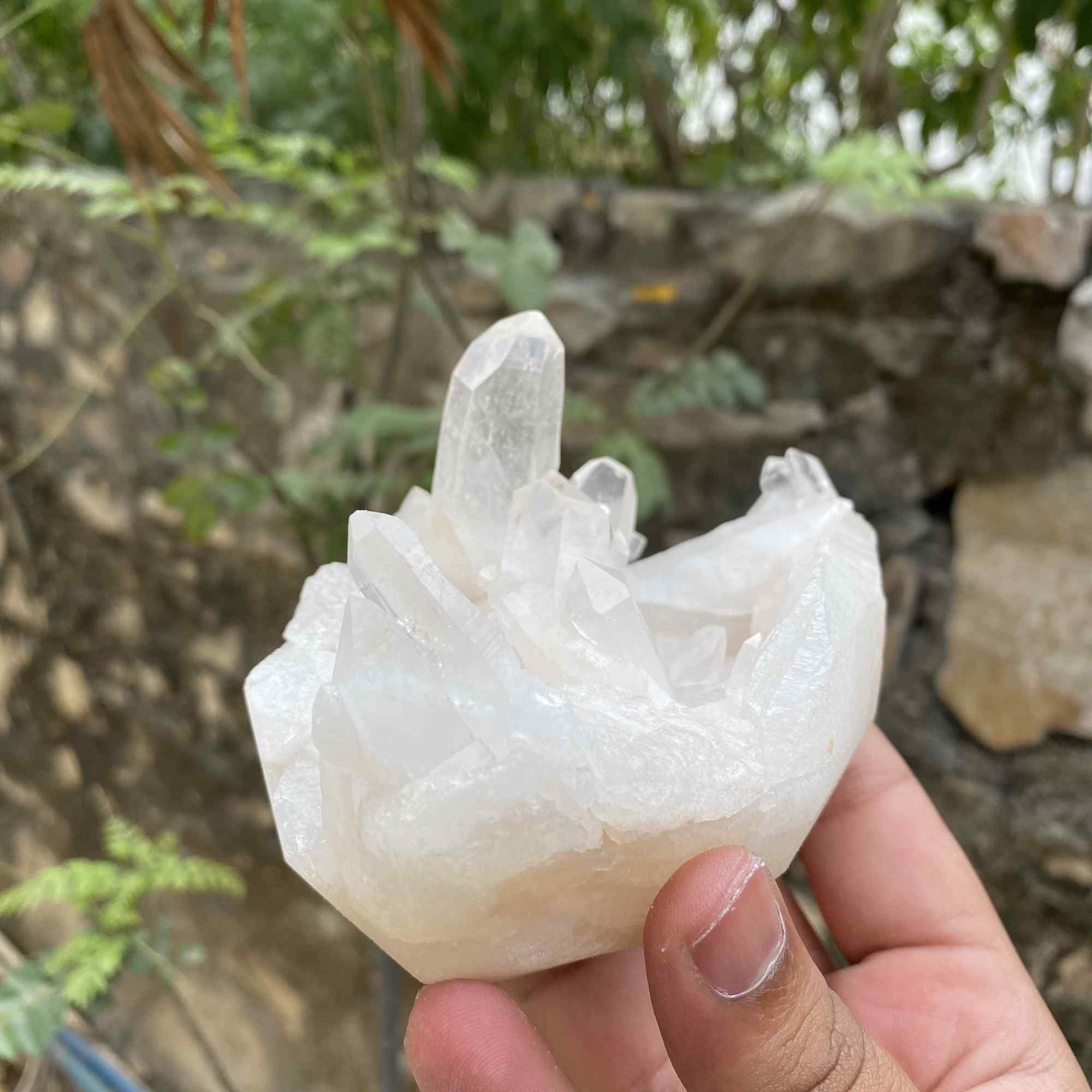 Himalayan White Quartz Raw Display Cluster Natural Collector Specimen