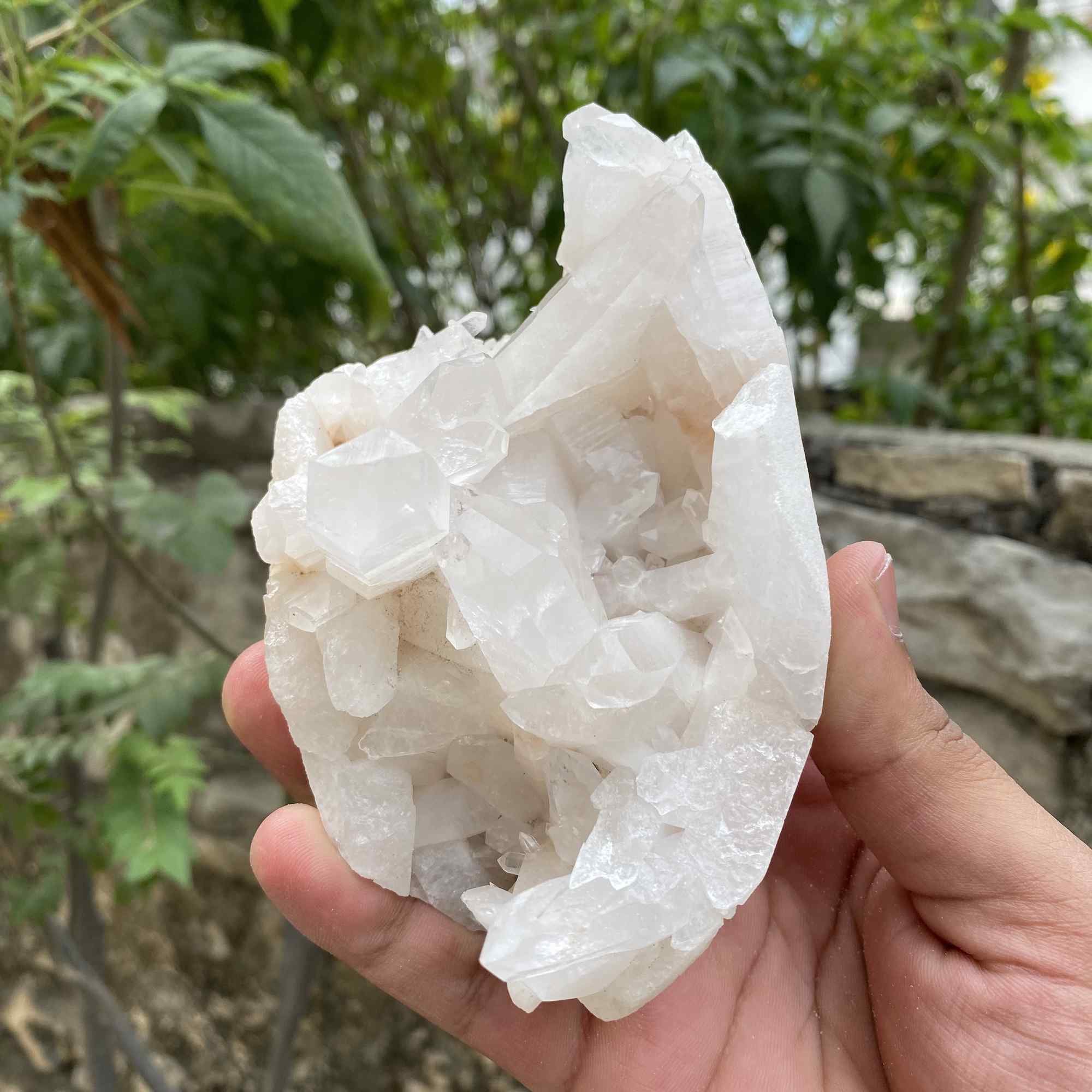 Himalayan White Quartz Raw Display Cluster Natural Collector Specimen