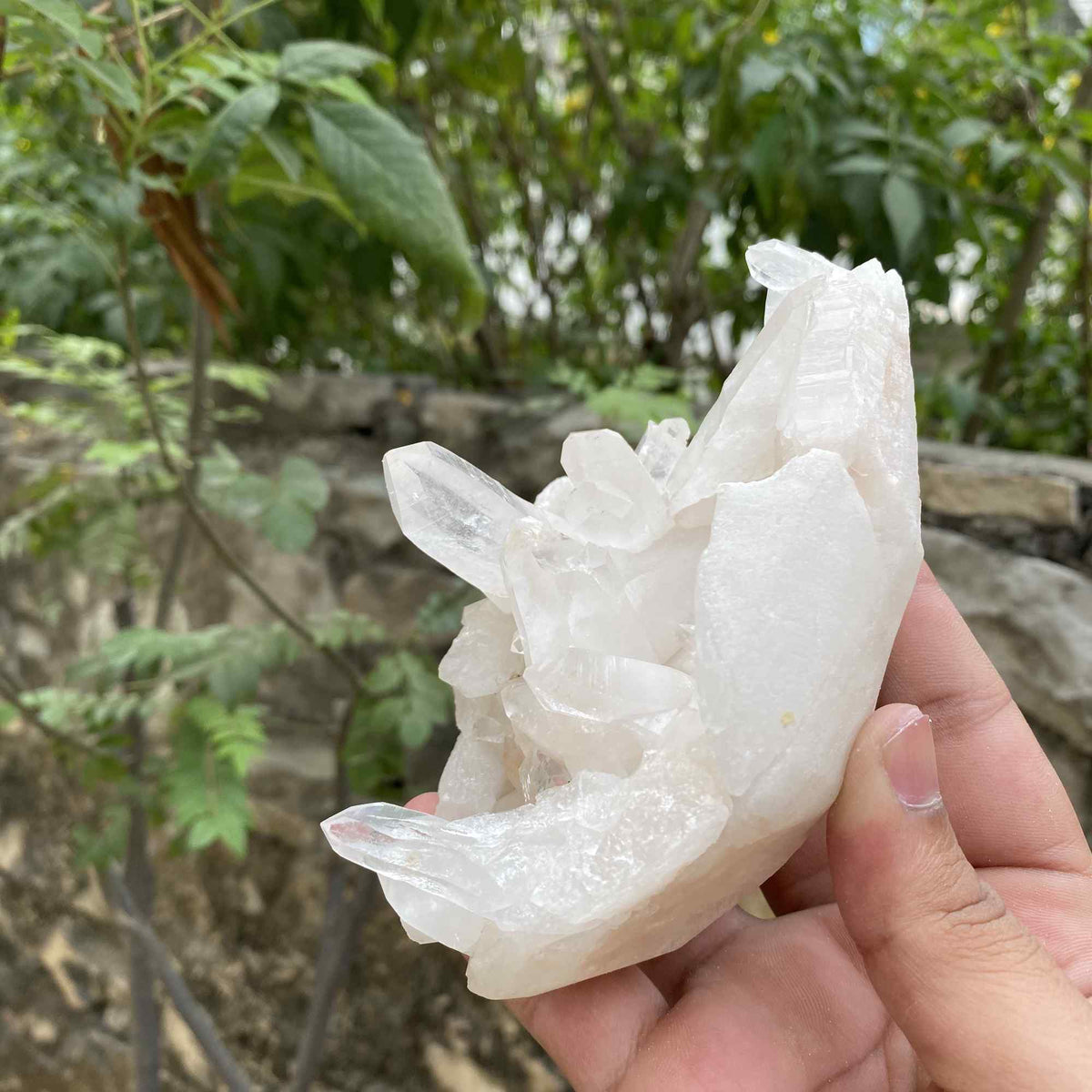 Himalayan White Quartz Raw Display Cluster Natural Collector Specimen