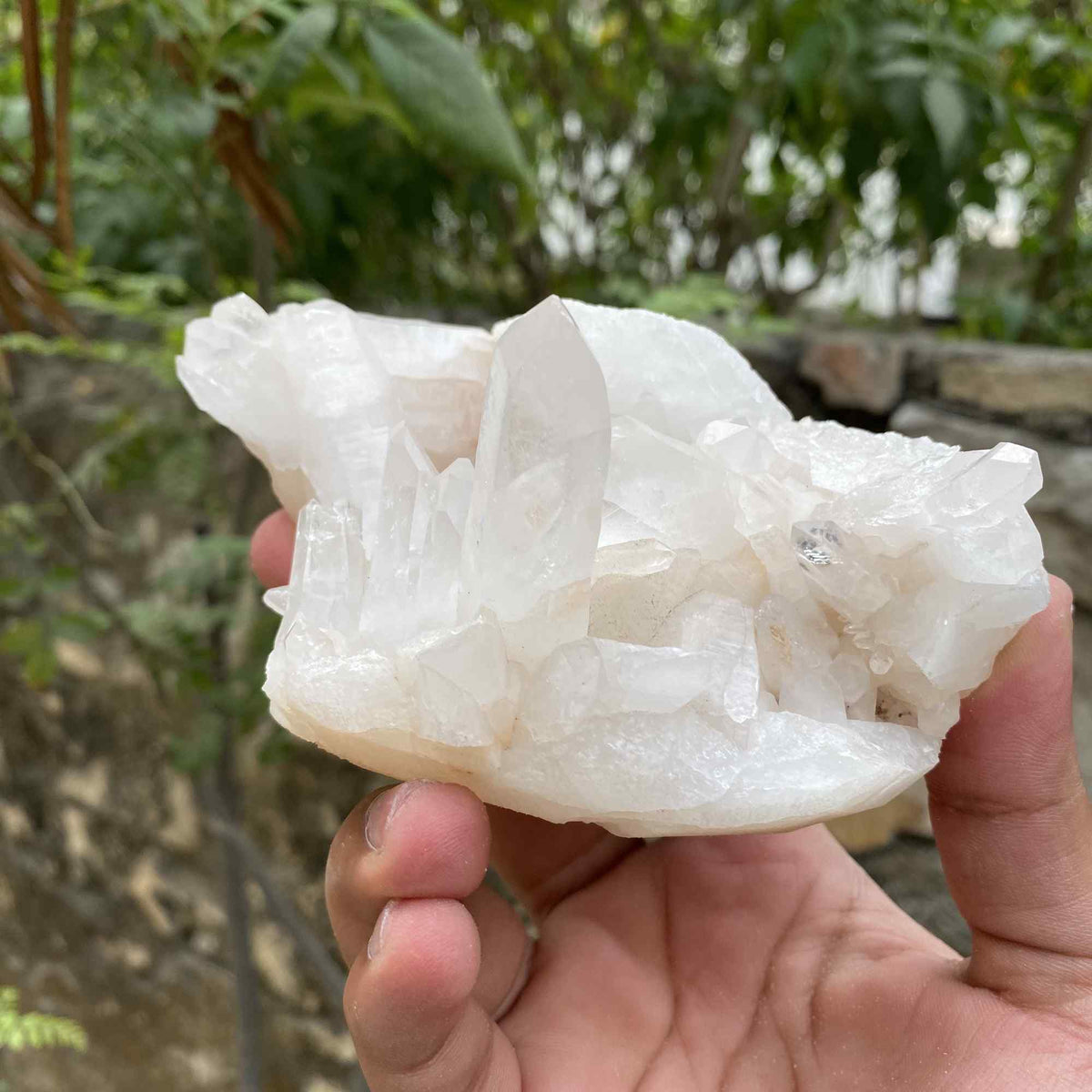 Himalayan White Quartz Raw Display Cluster Natural Collector Specimen