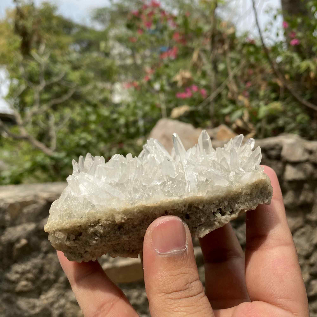Himalya Quartz 275g natural Himalayan Pointed Pencils Green Phantom Quartz and clear quartz crystal cluster specimen.