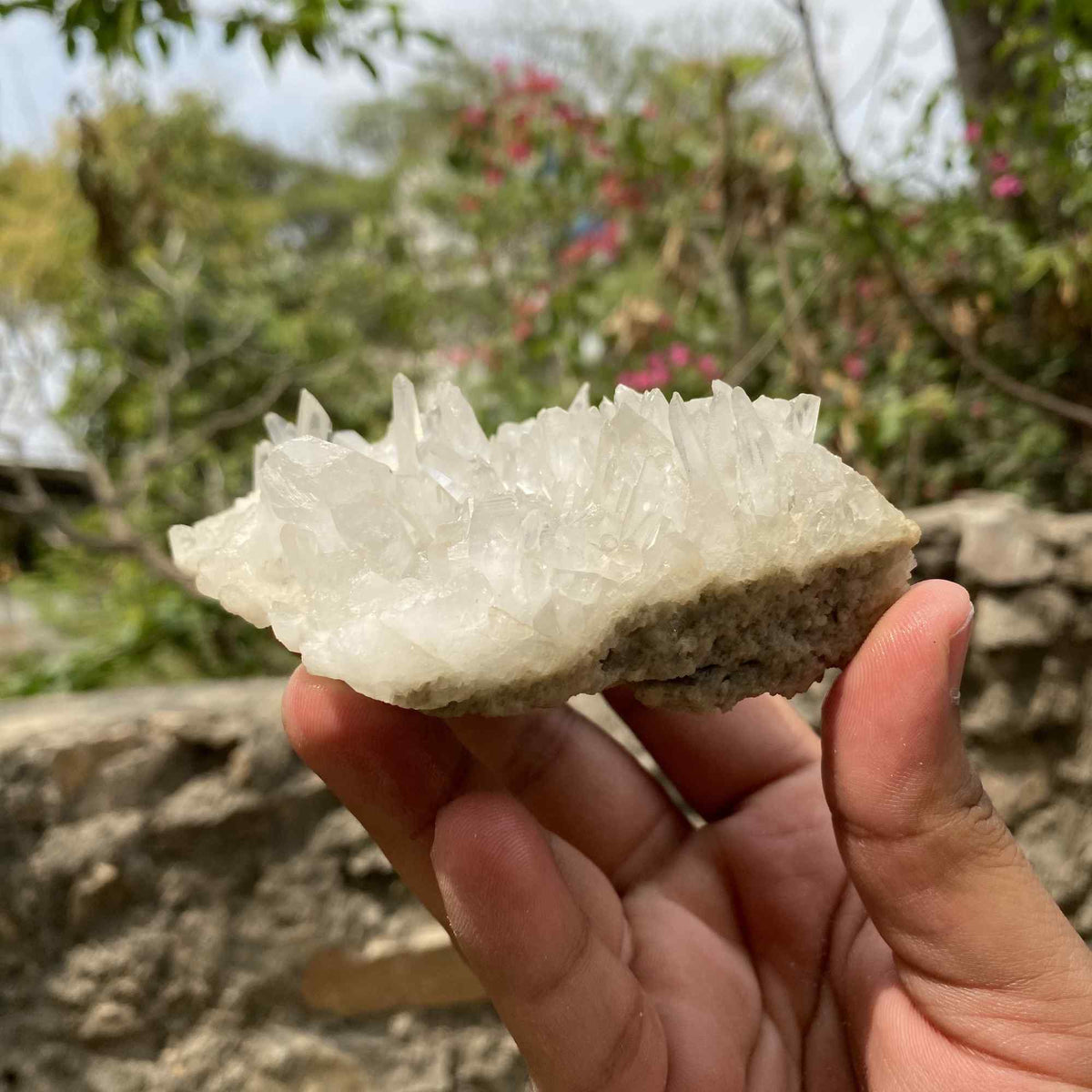 Himalya Quartz Himalayan Pointed Pencils Green Phantom Quartz and Clear Quartz crystal cluster mineral healing specimen