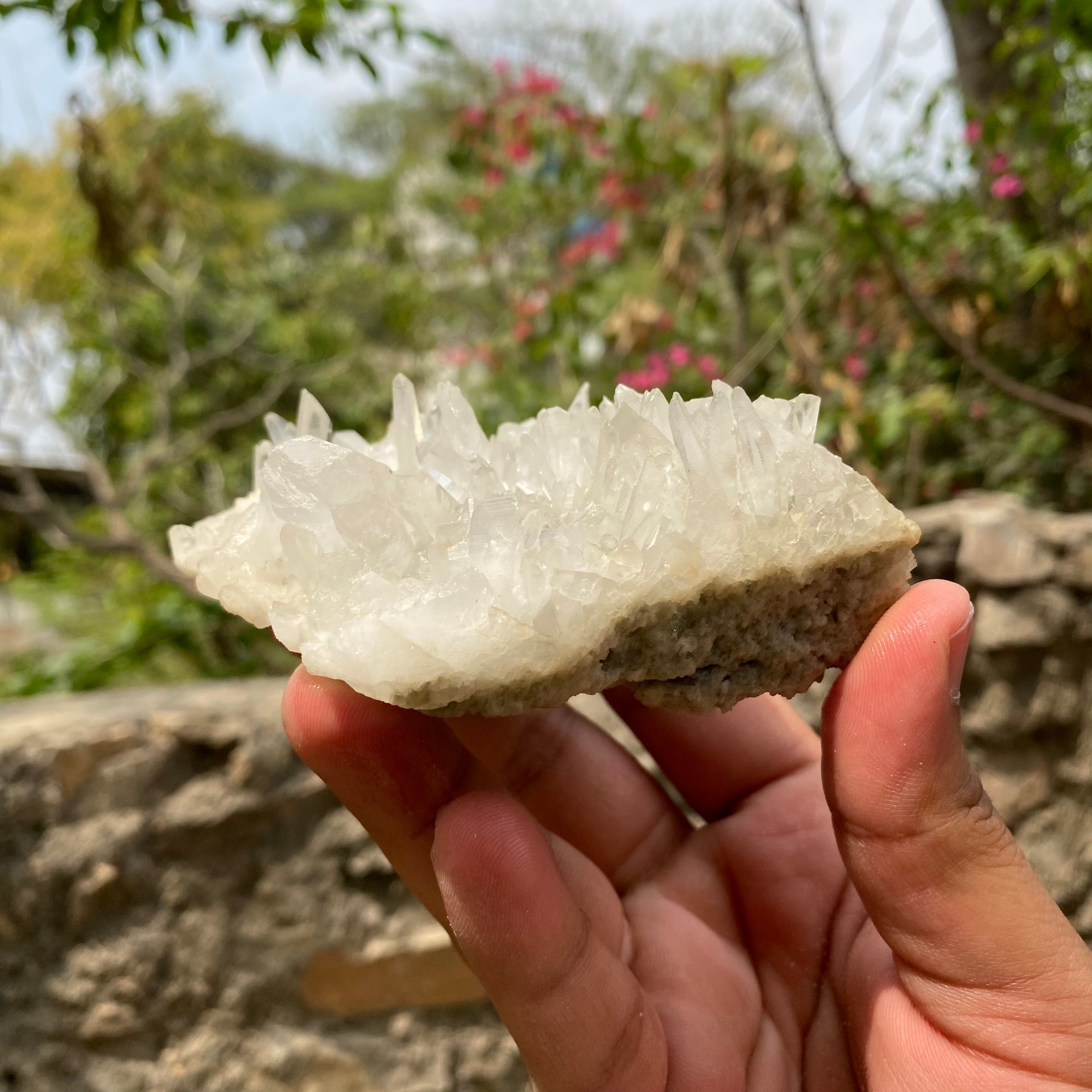 Himalya Quartz Himalayan Pointed Pencils Green Phantom Quartz and Clear Quartz crystal cluster mineral healing specimen