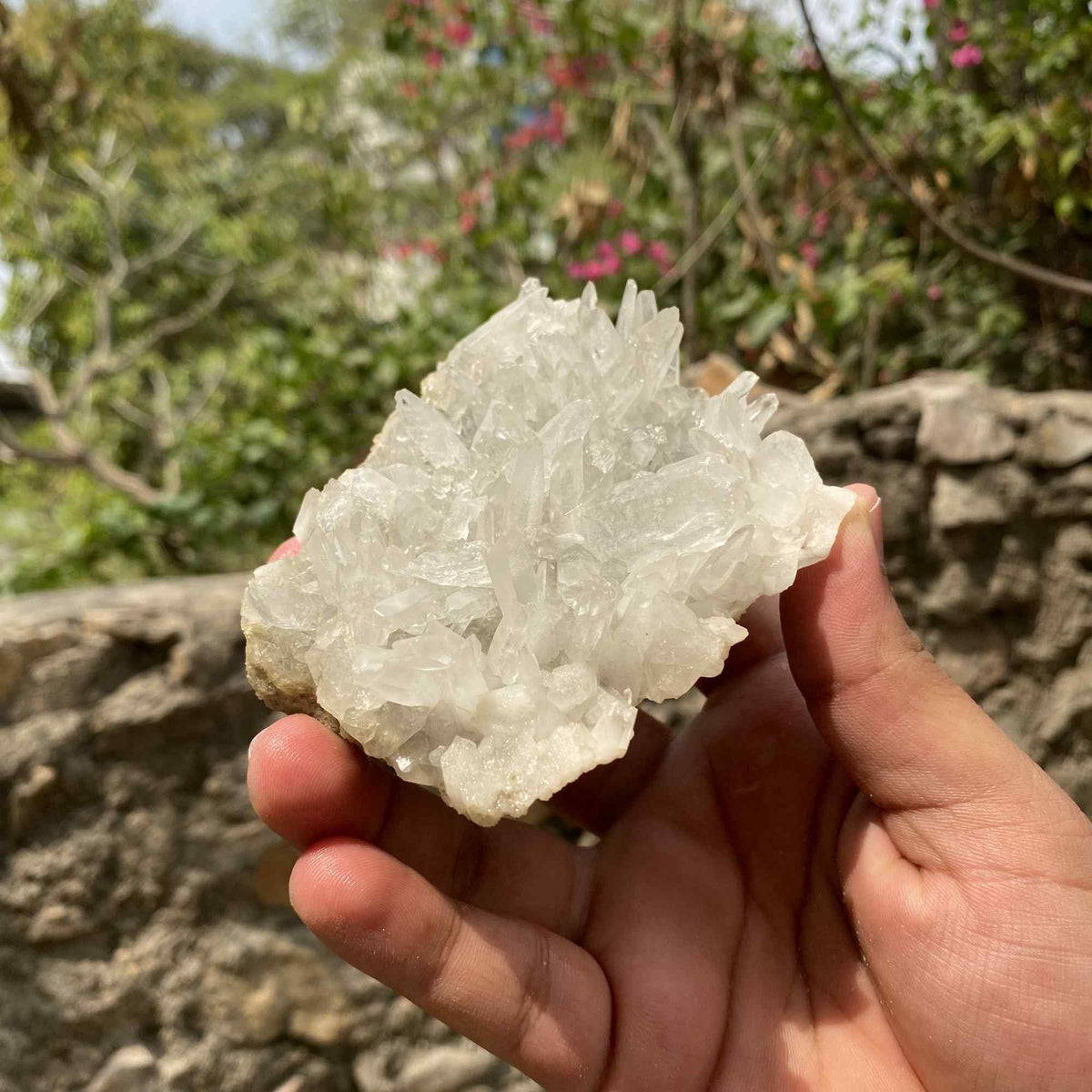 Himalya Quartz Himalayan Quartz mineral specimen with green phantom points and clear quartz crystal cluster for healing and display.