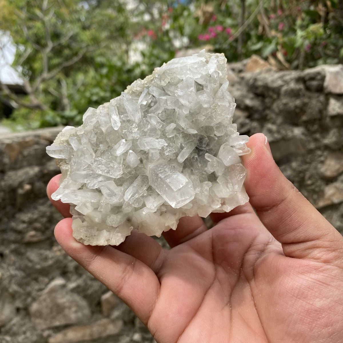 Himalya Quartz green Phantom Quartz pointed mineral specimen with clear quartz cluster, rough Himalayan crystal healing crystal.