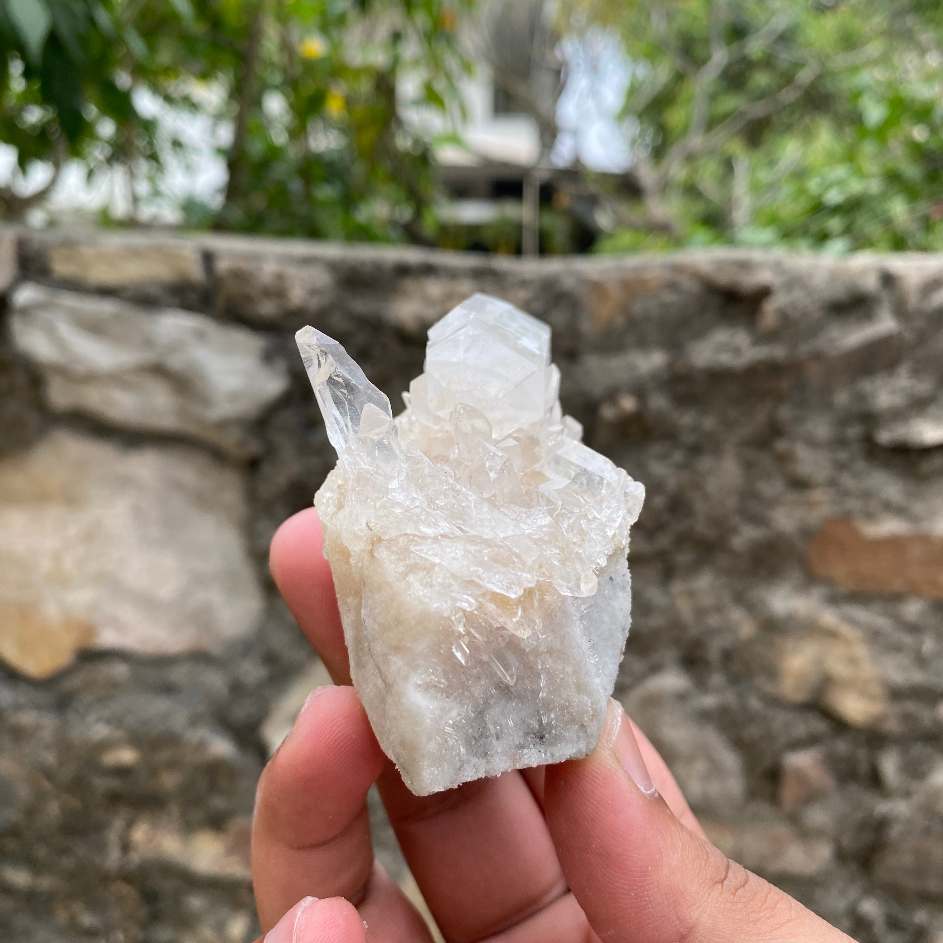 White Himalayan Quartz Samadhi Raw Crystal Mineral Cluster Healing Collector Stone
