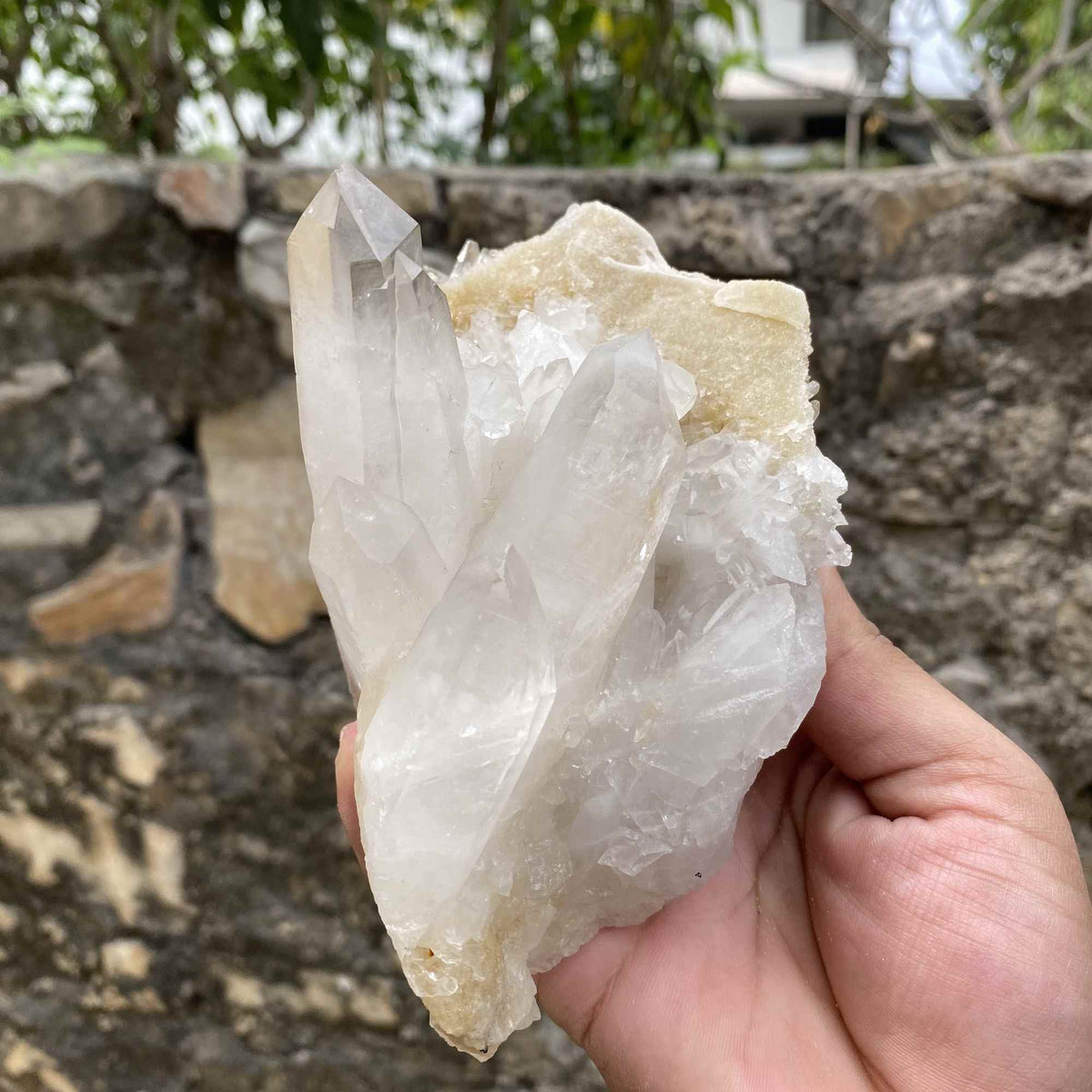 Natural Himalayan White Yellow Quartz Raw Cluster Collector Mineral