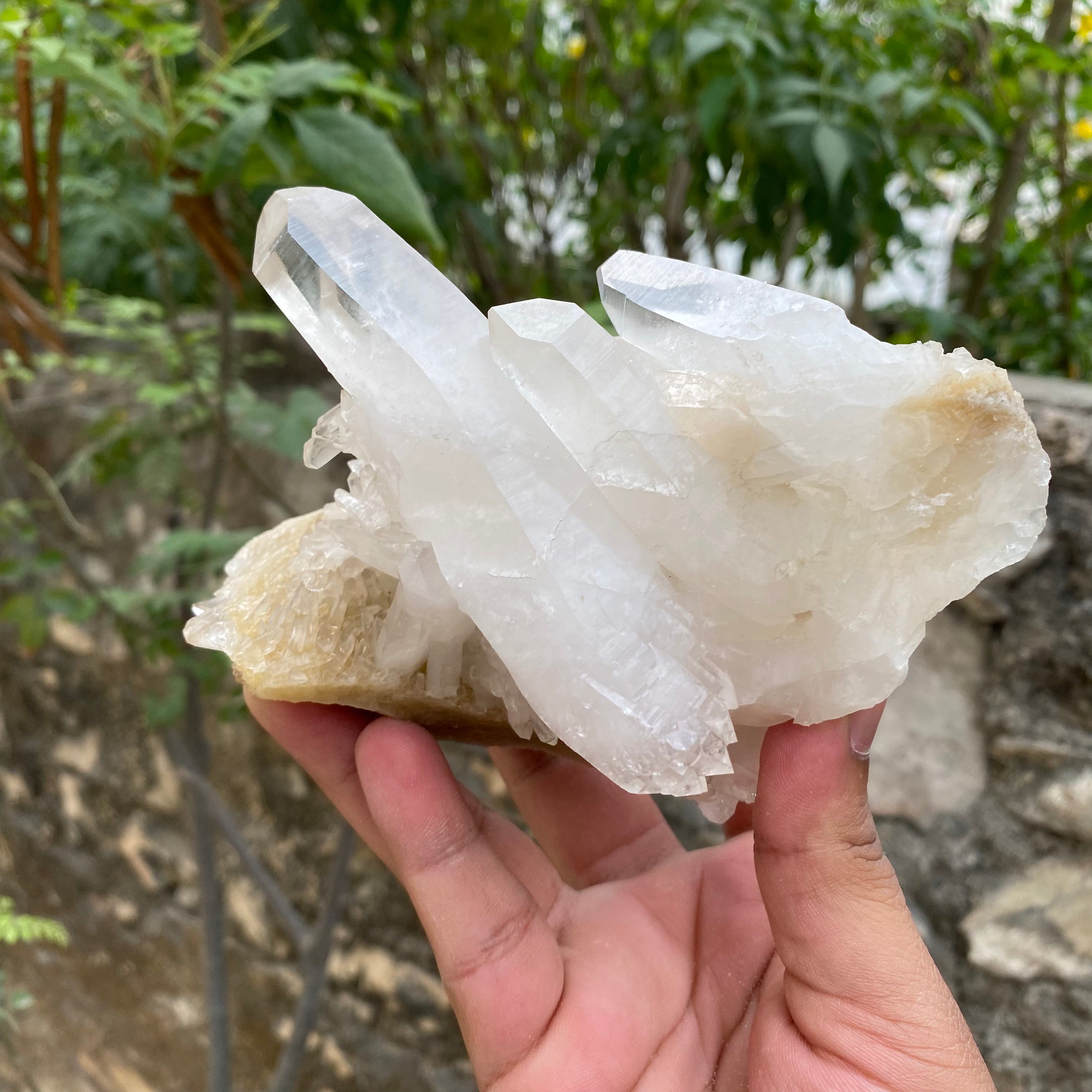 White with Yellow Himalayan Quartz Samadhi Crystal Cluster Raw Healing Collector Specimen