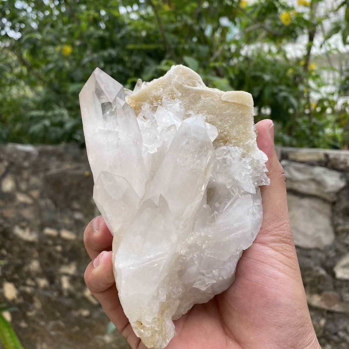 Natural Himalayan White Yellow Quartz Raw Cluster Collector Mineral