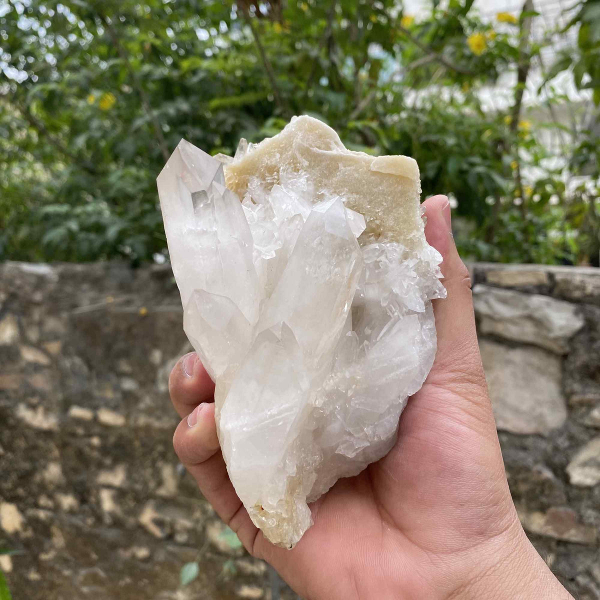 Natural Himalayan White Yellow Quartz Raw Cluster Collector Mineral