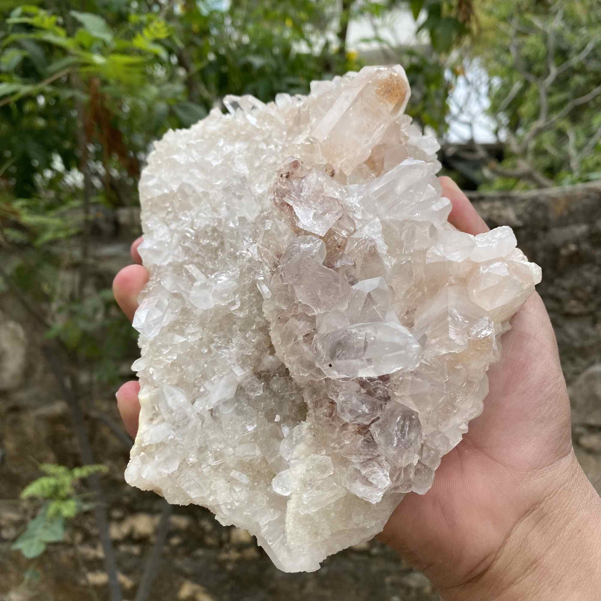 Pink White Himalayan Quartz Raw Natural Cluster Collector Specimen