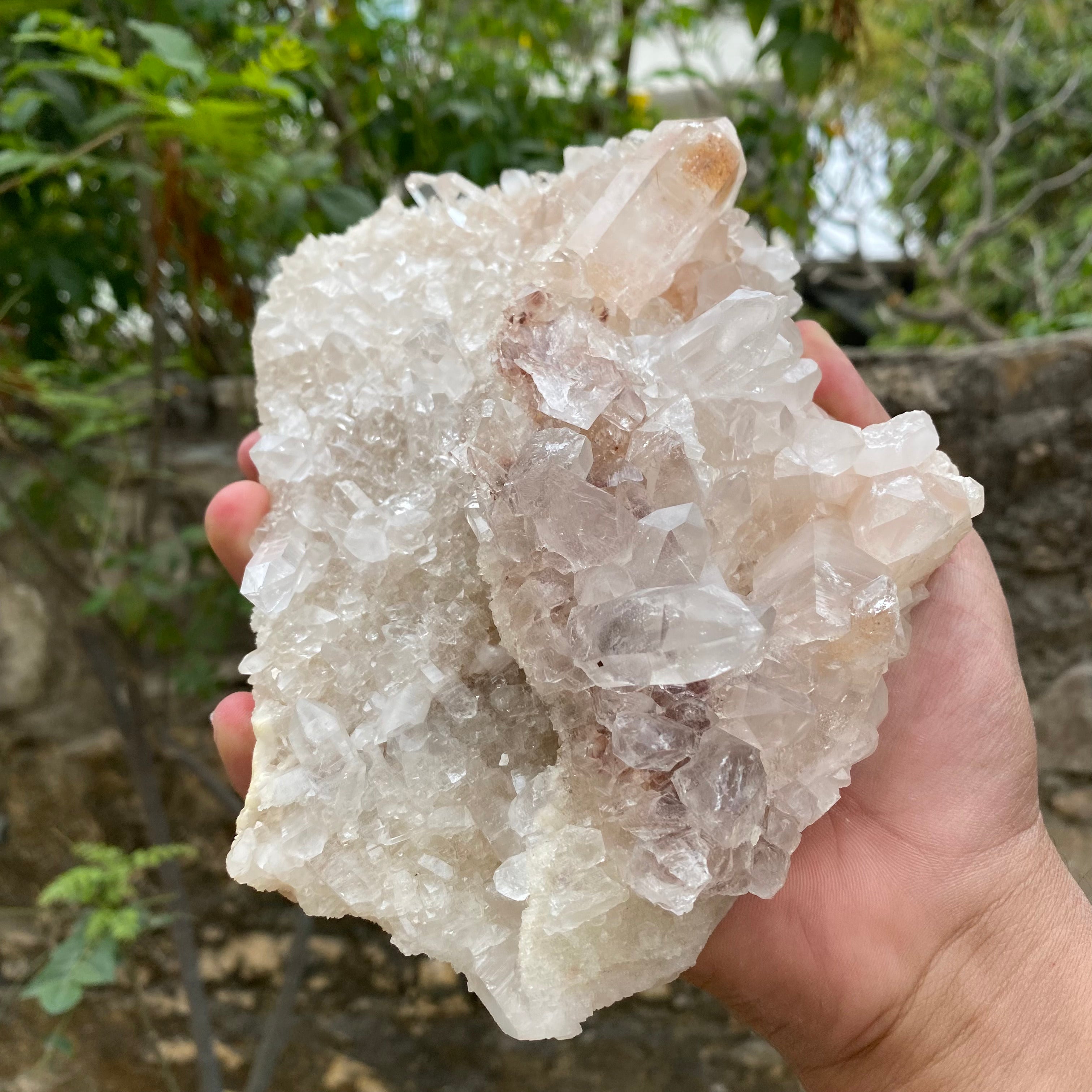 Pink Samadhi Quartz Crystal Cluster Healing Himalayan Energy Natural Display