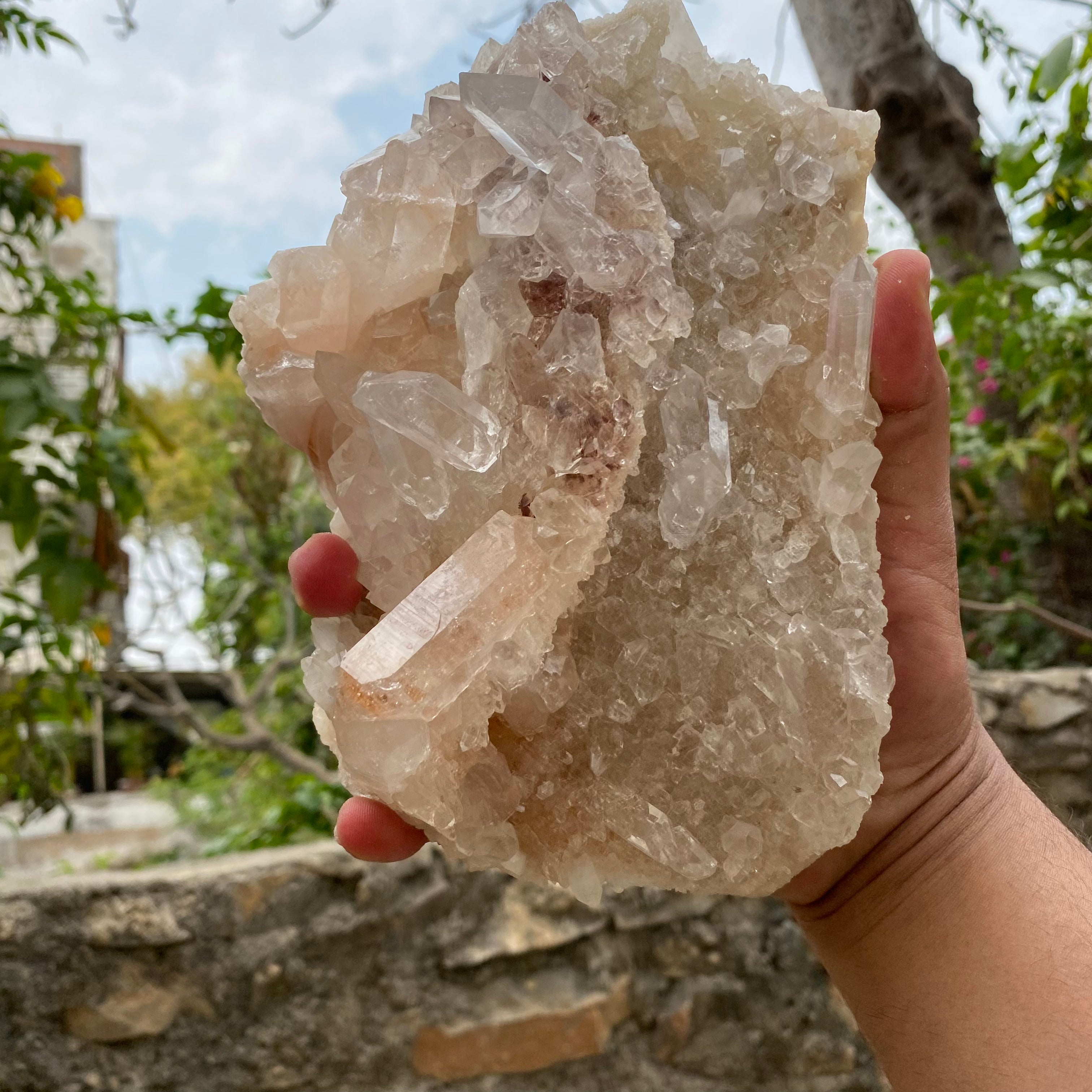 Pink Samadhi Quartz Crystal Cluster Healing Himalayan Energy Natural Display